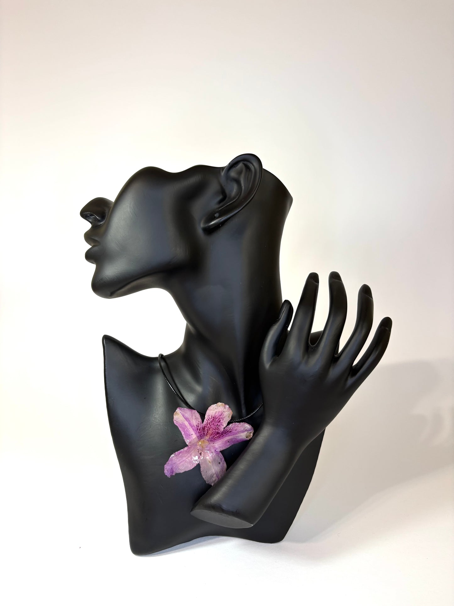 Hawaiian Hibiscus