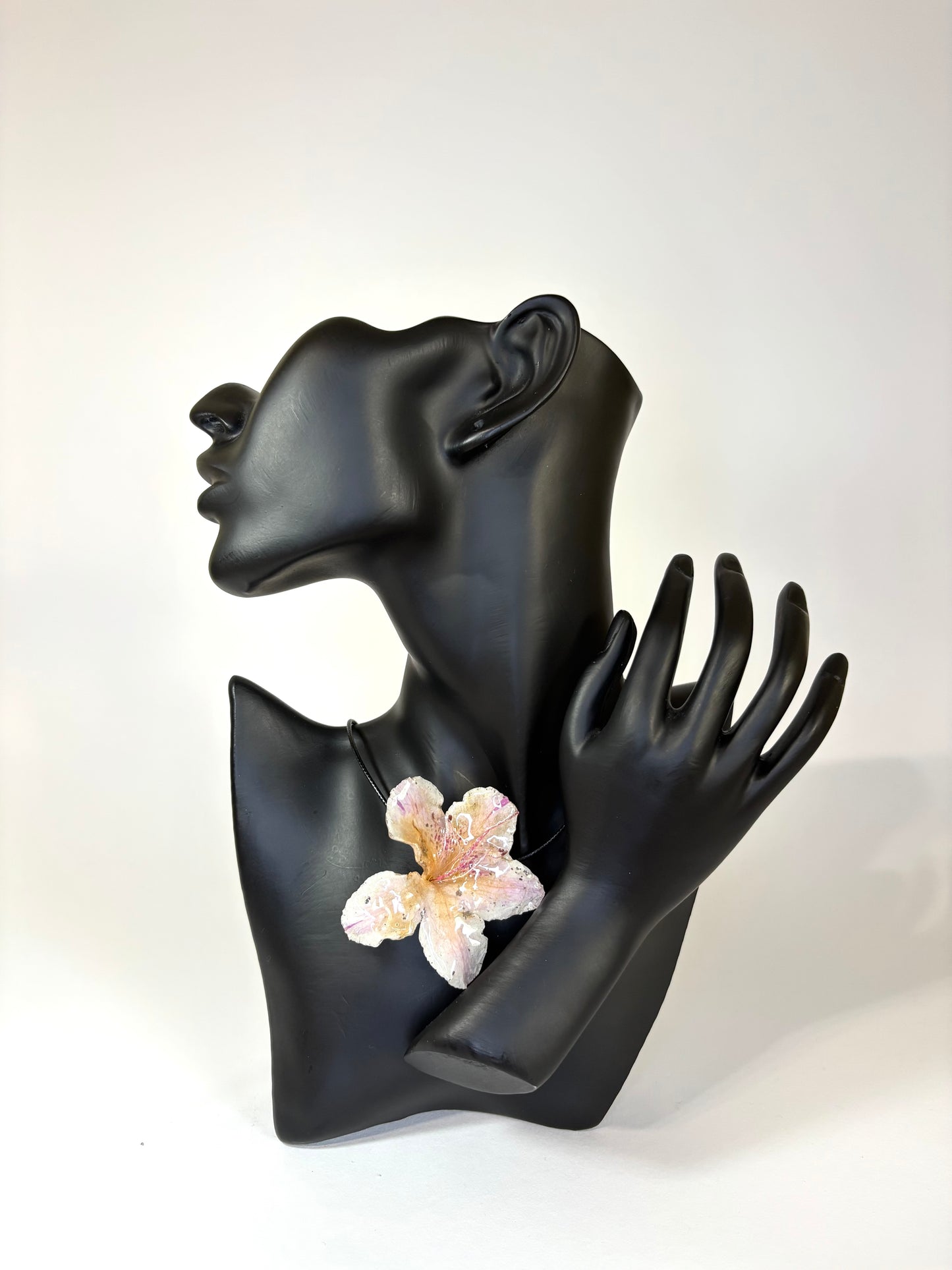 Sunkissed hibiscus