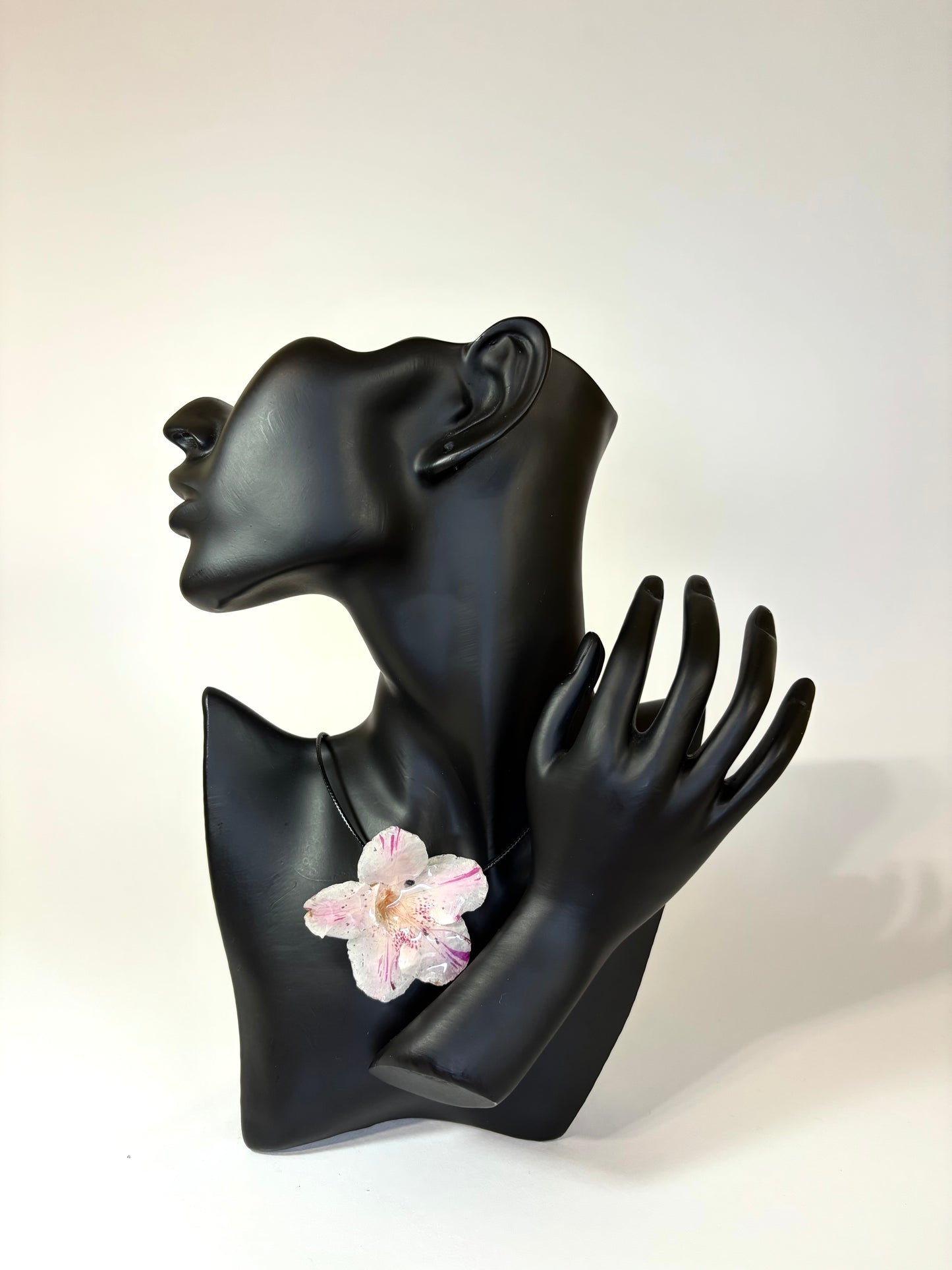 Pink hibiscus