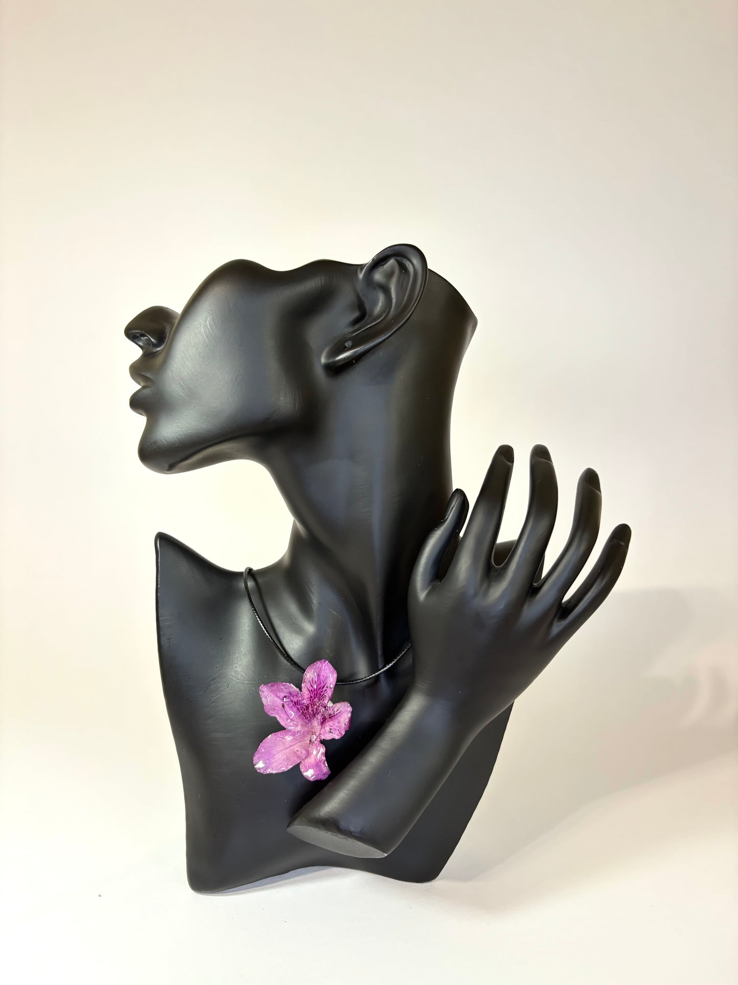 Dark purple Hibiscus