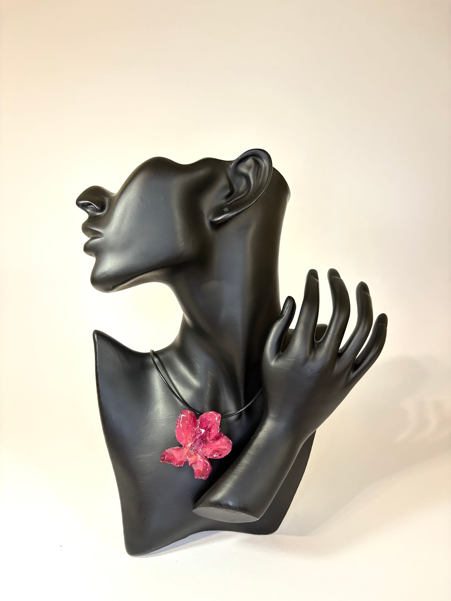 Dark red Hibiscus
