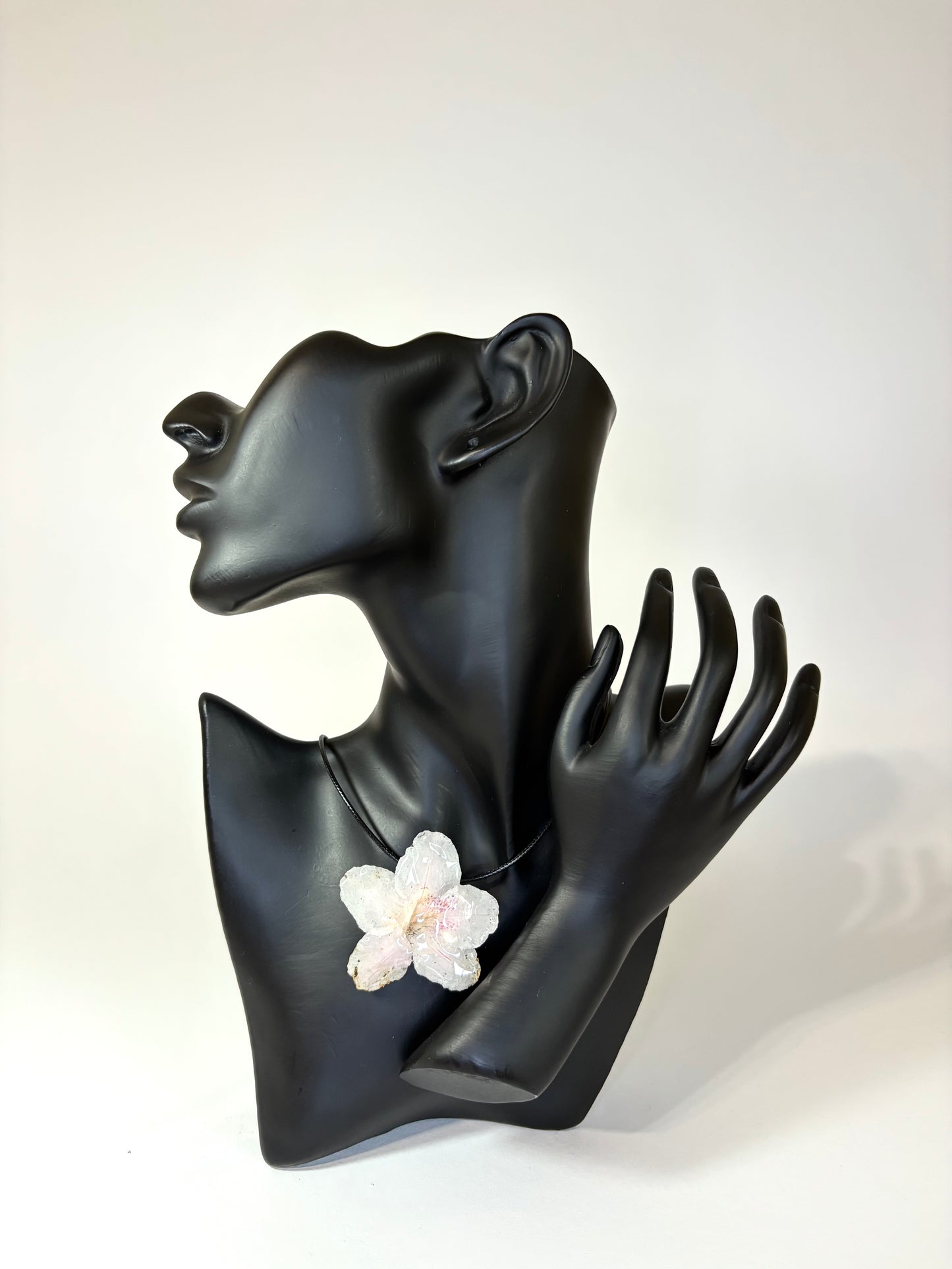 Soft pink hibiscus
