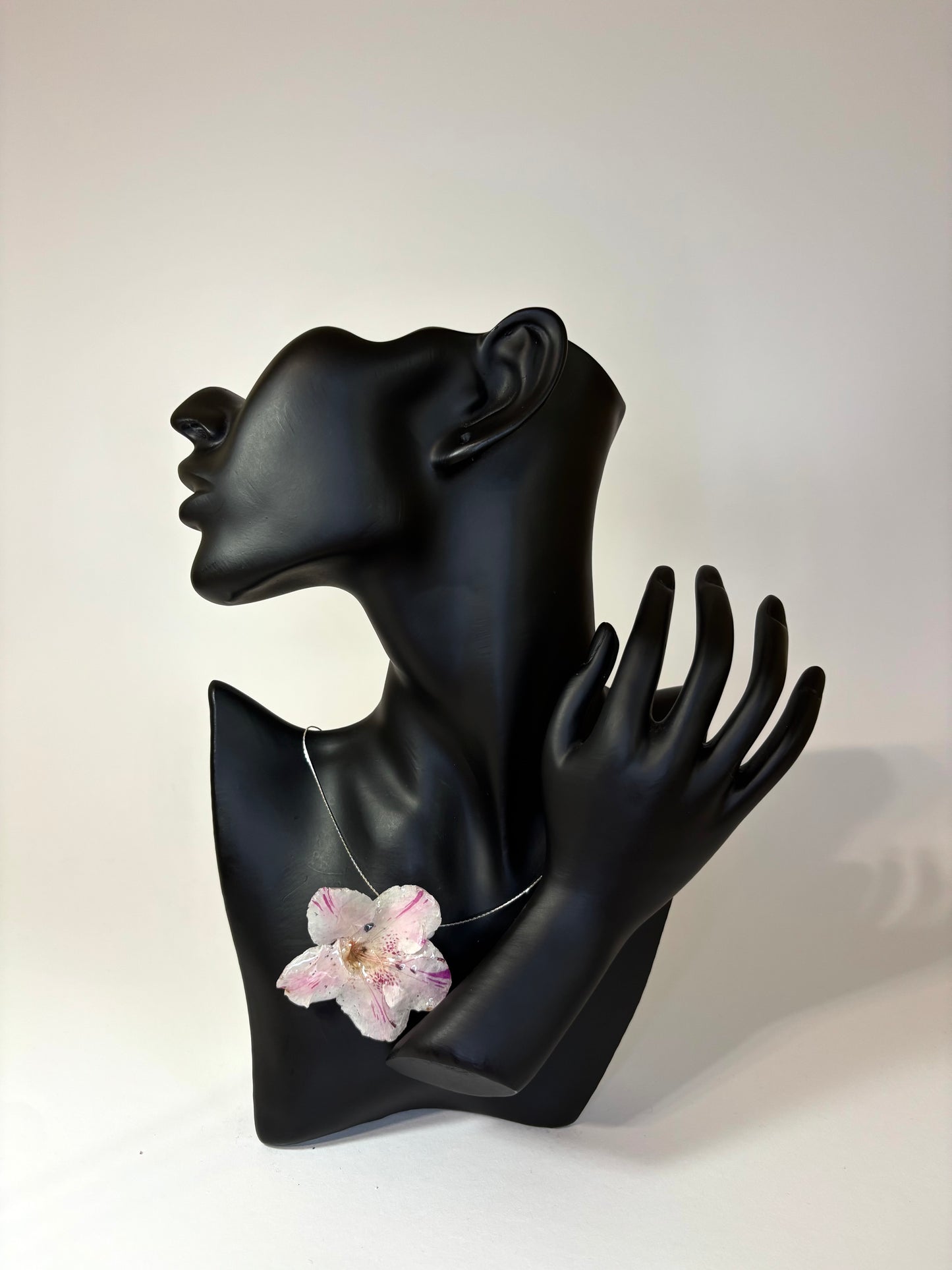 Pink hibiscus