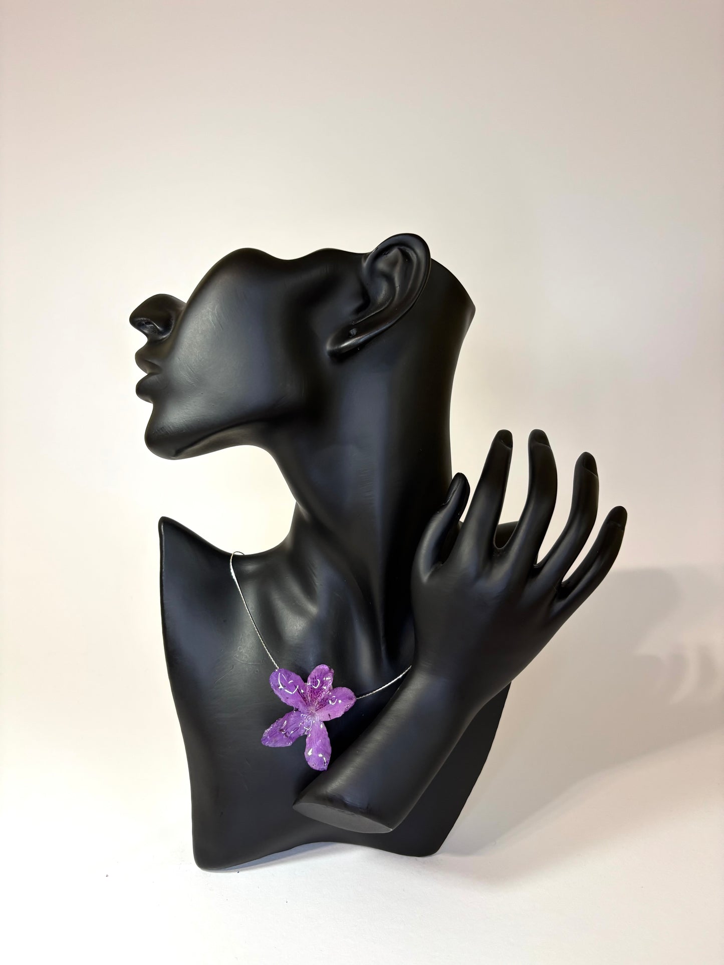 Mini purple Hibiscus
