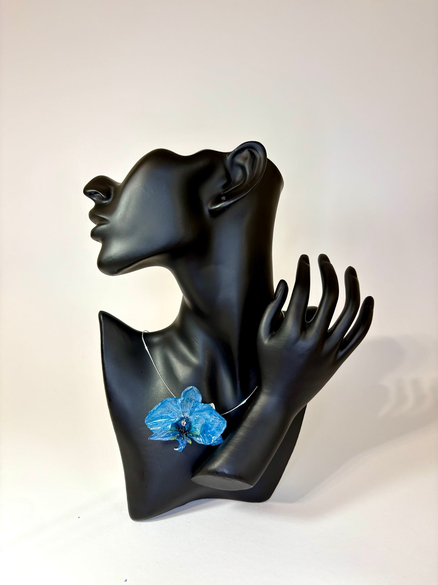 Blue orchid