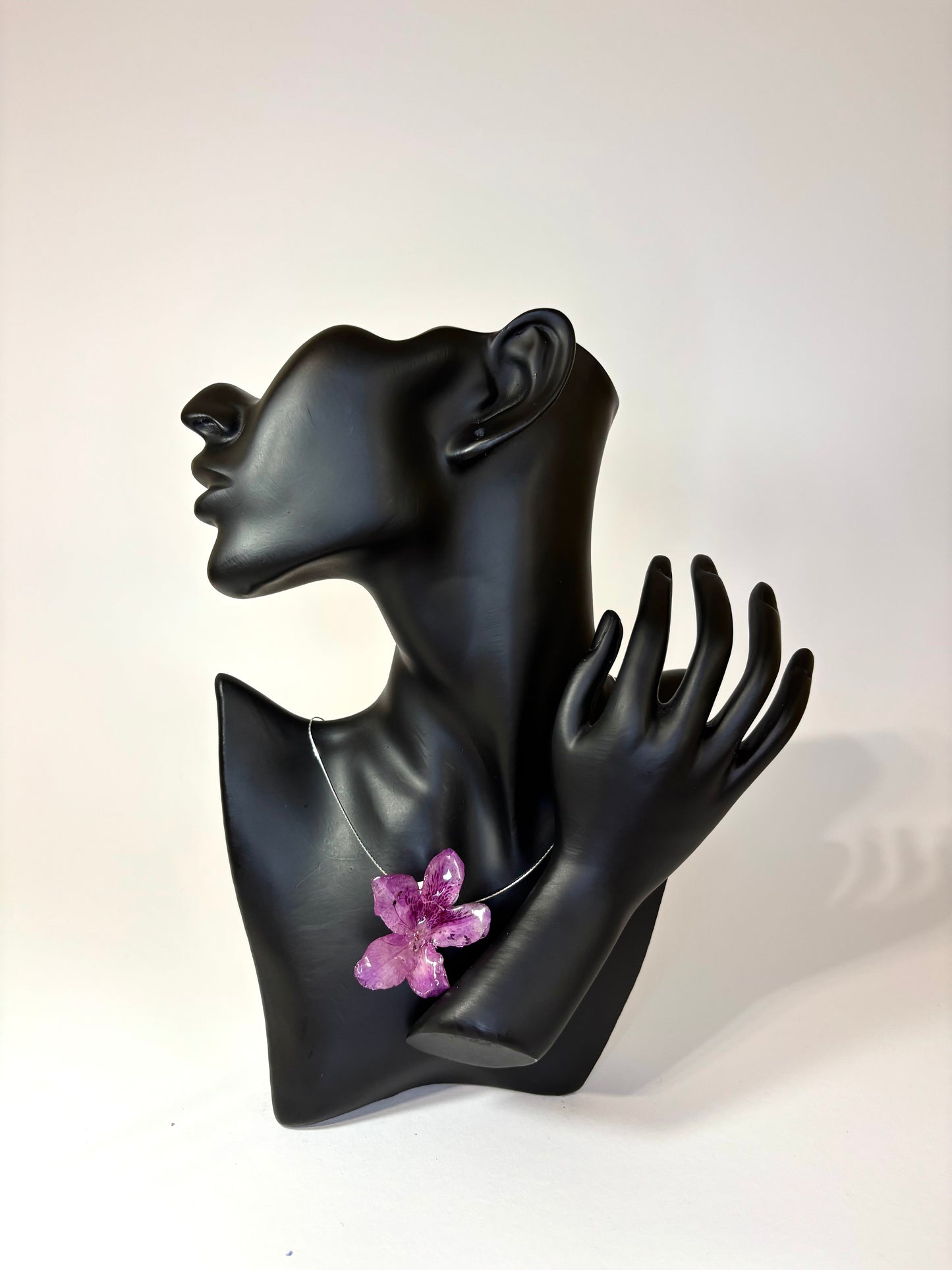 Dark purple Hibiscus