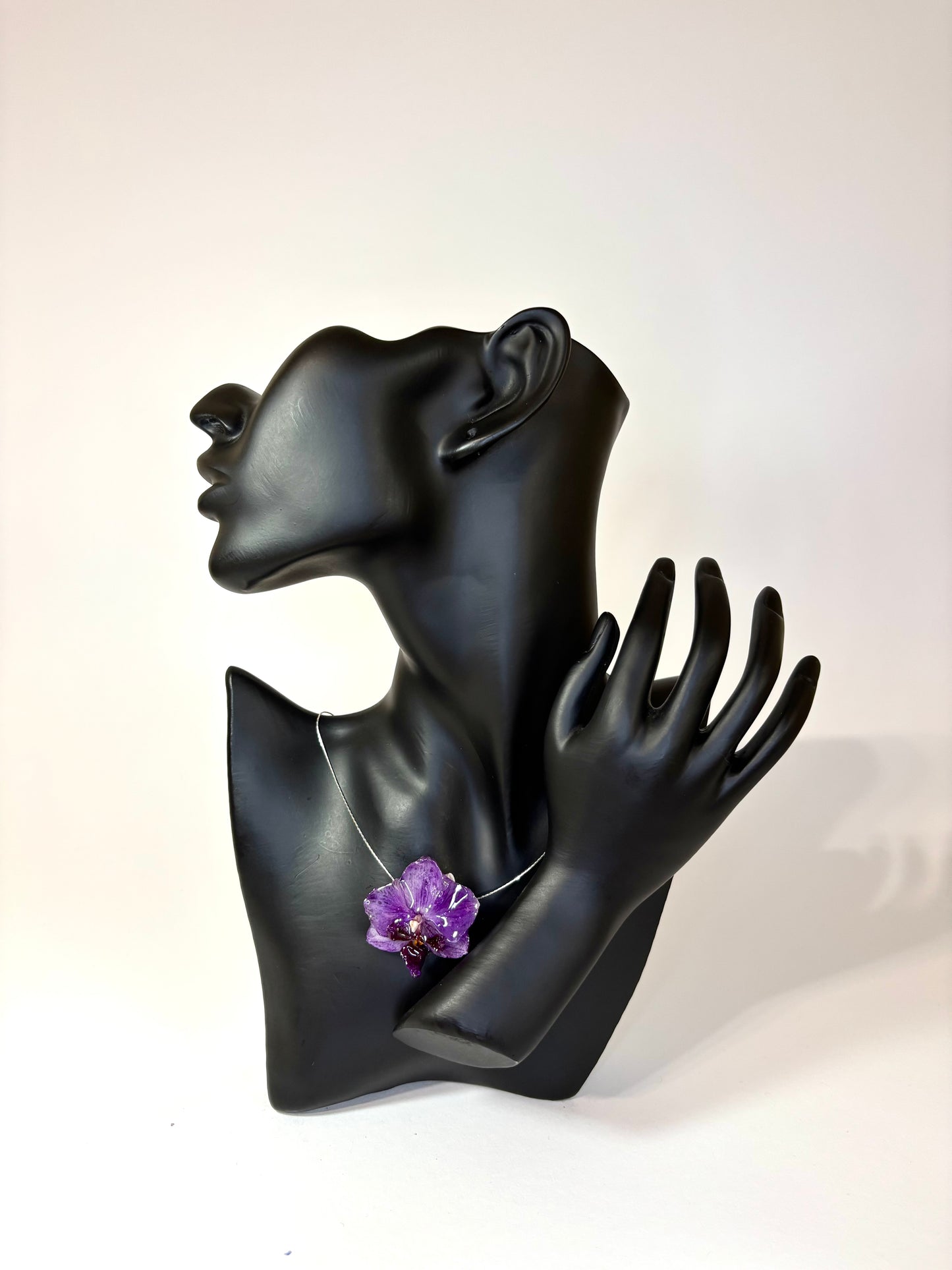 Dark purple mini orchid
