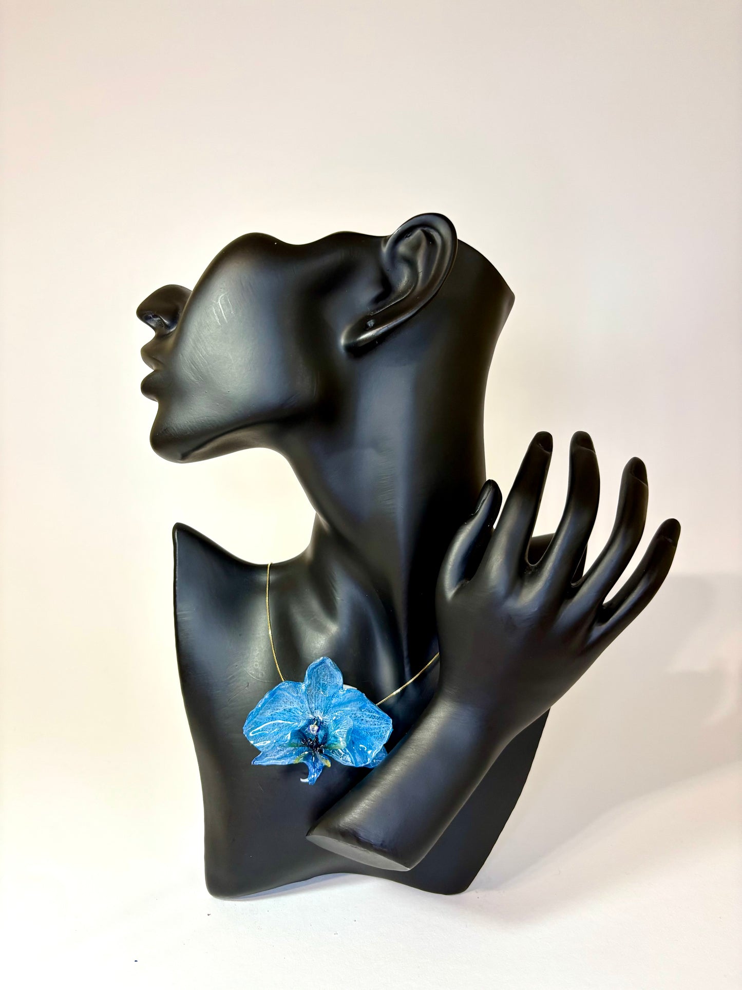 Blue orchid