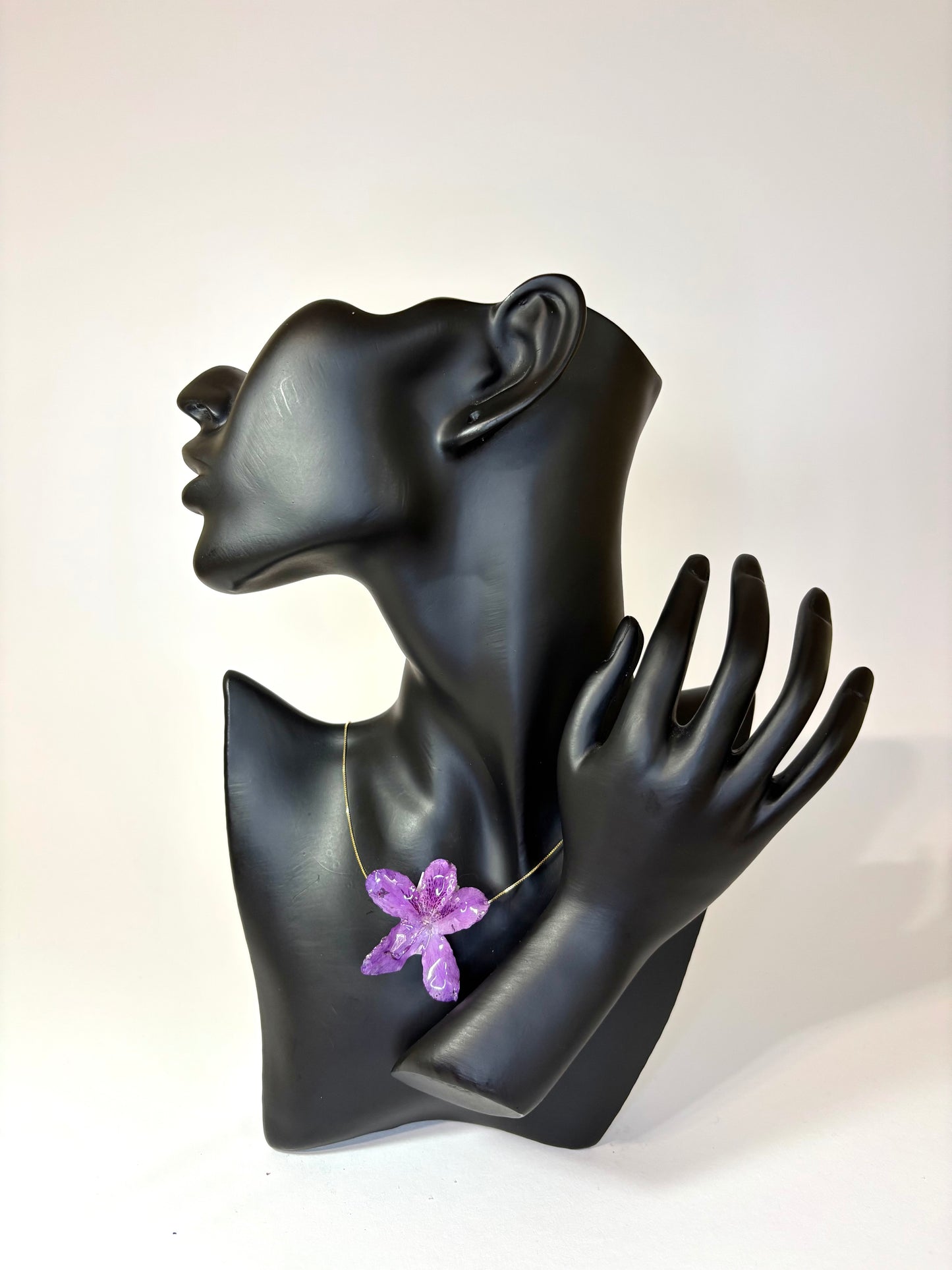 Mini purple Hibiscus