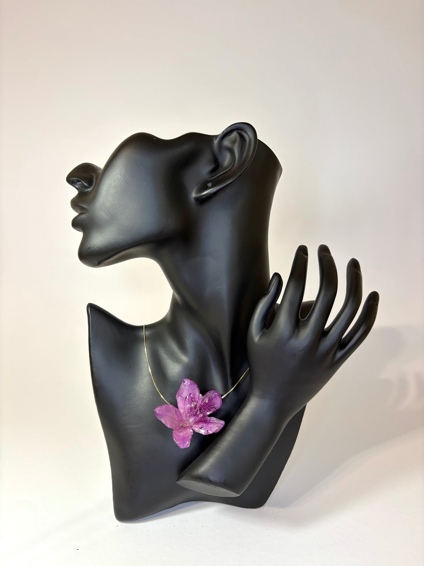 Dark purple Hibiscus