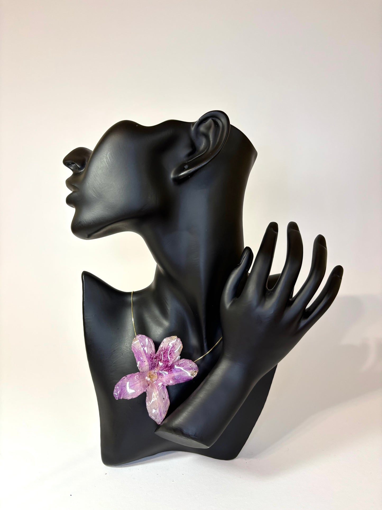 Hawaiian Hibiscus