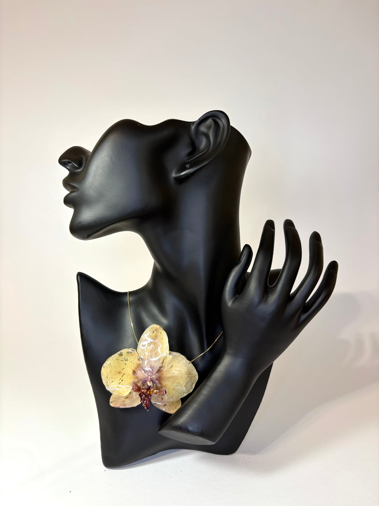 Sunset orchid