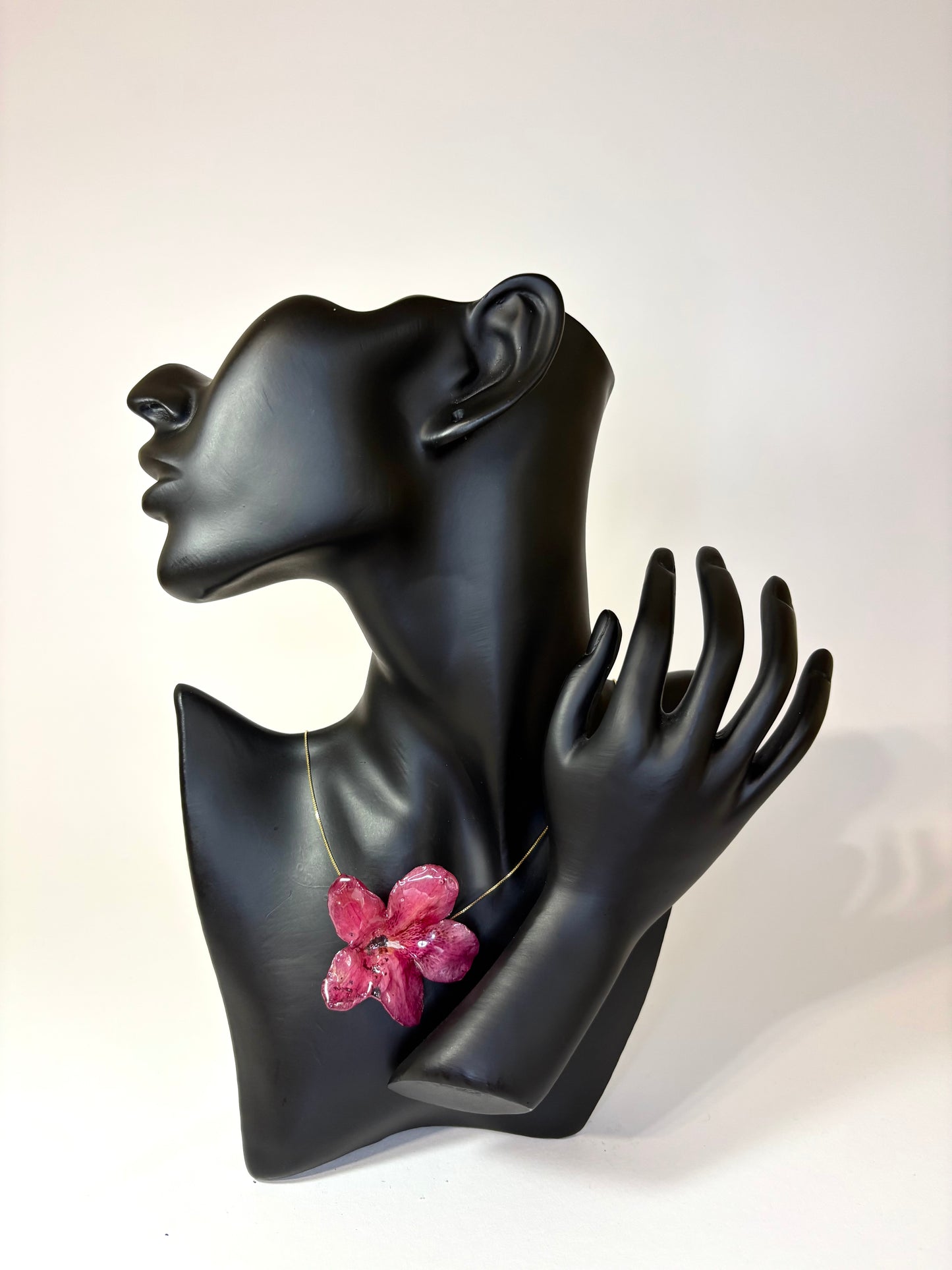 Dark red Hibiscus