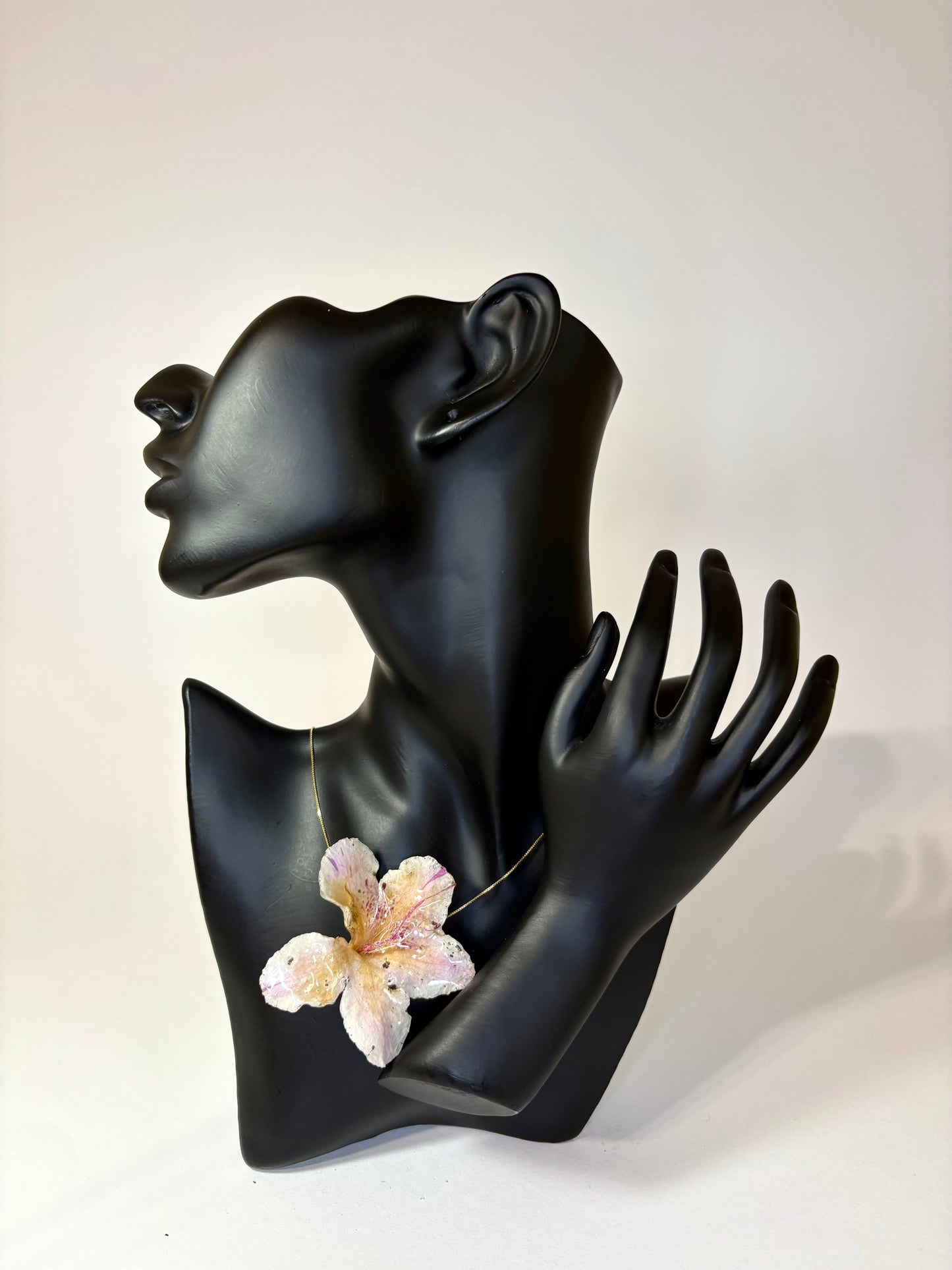 Sunkissed hibiscus