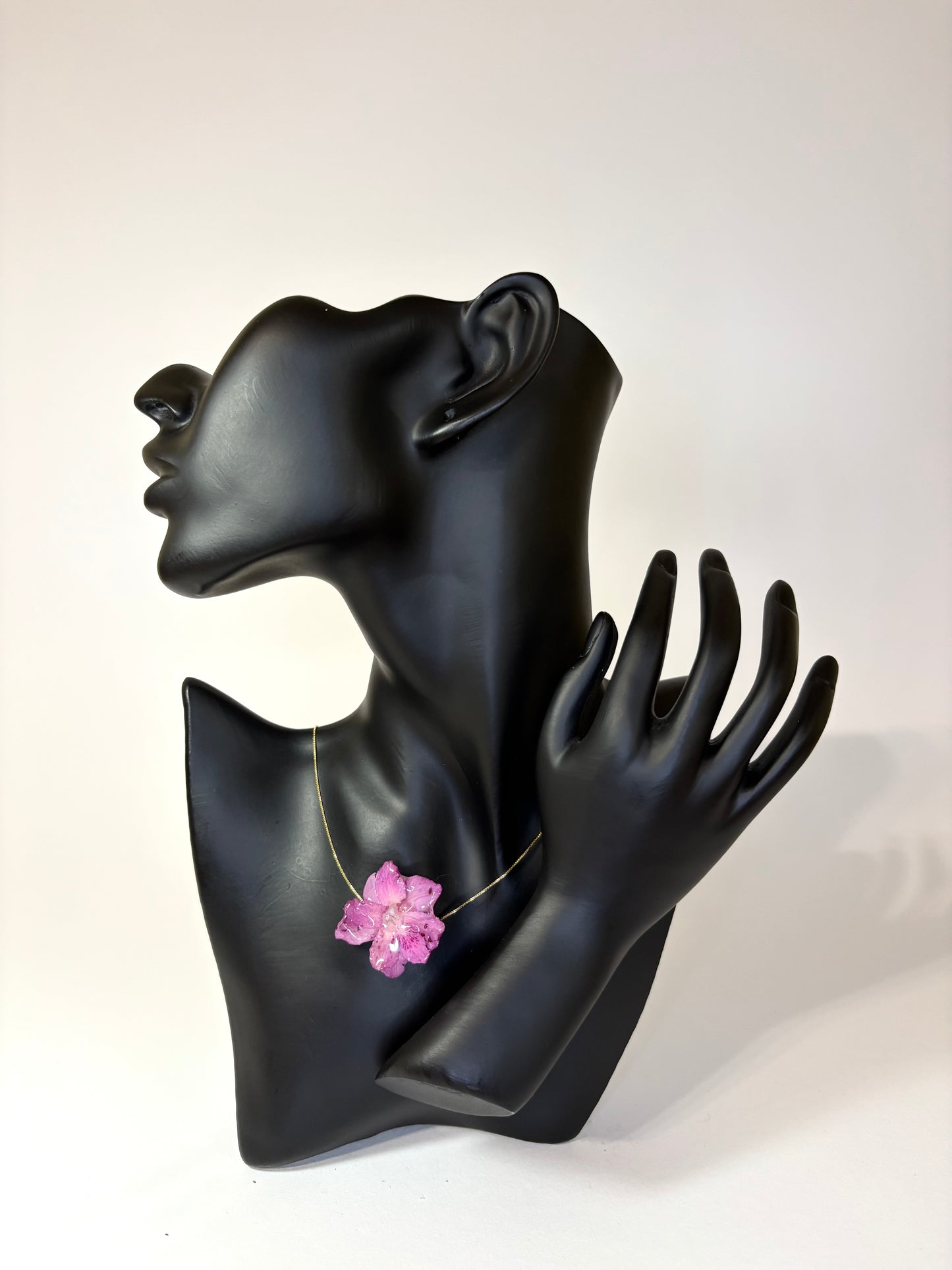 Mini pink Hibiscus