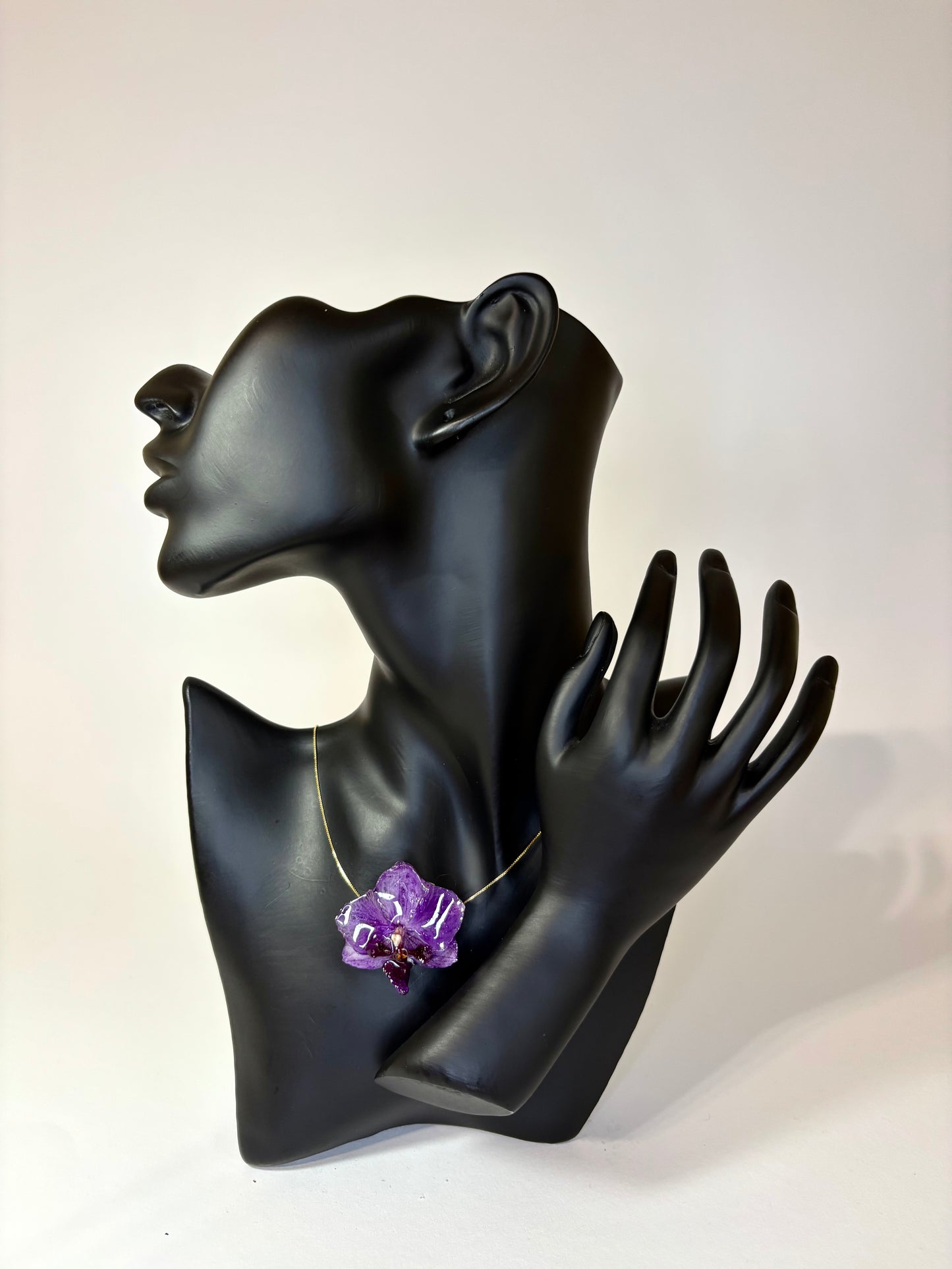Dark purple mini orchid