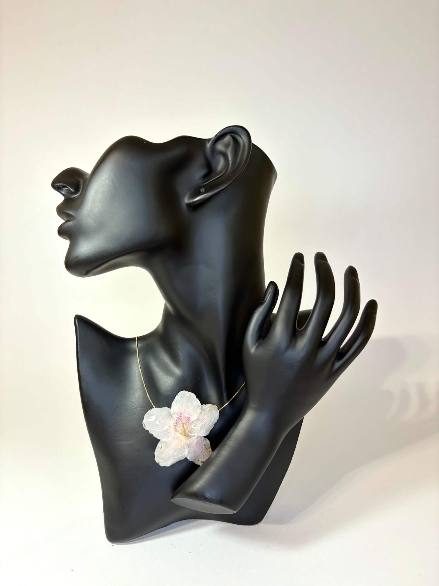 Soft pink hibiscus