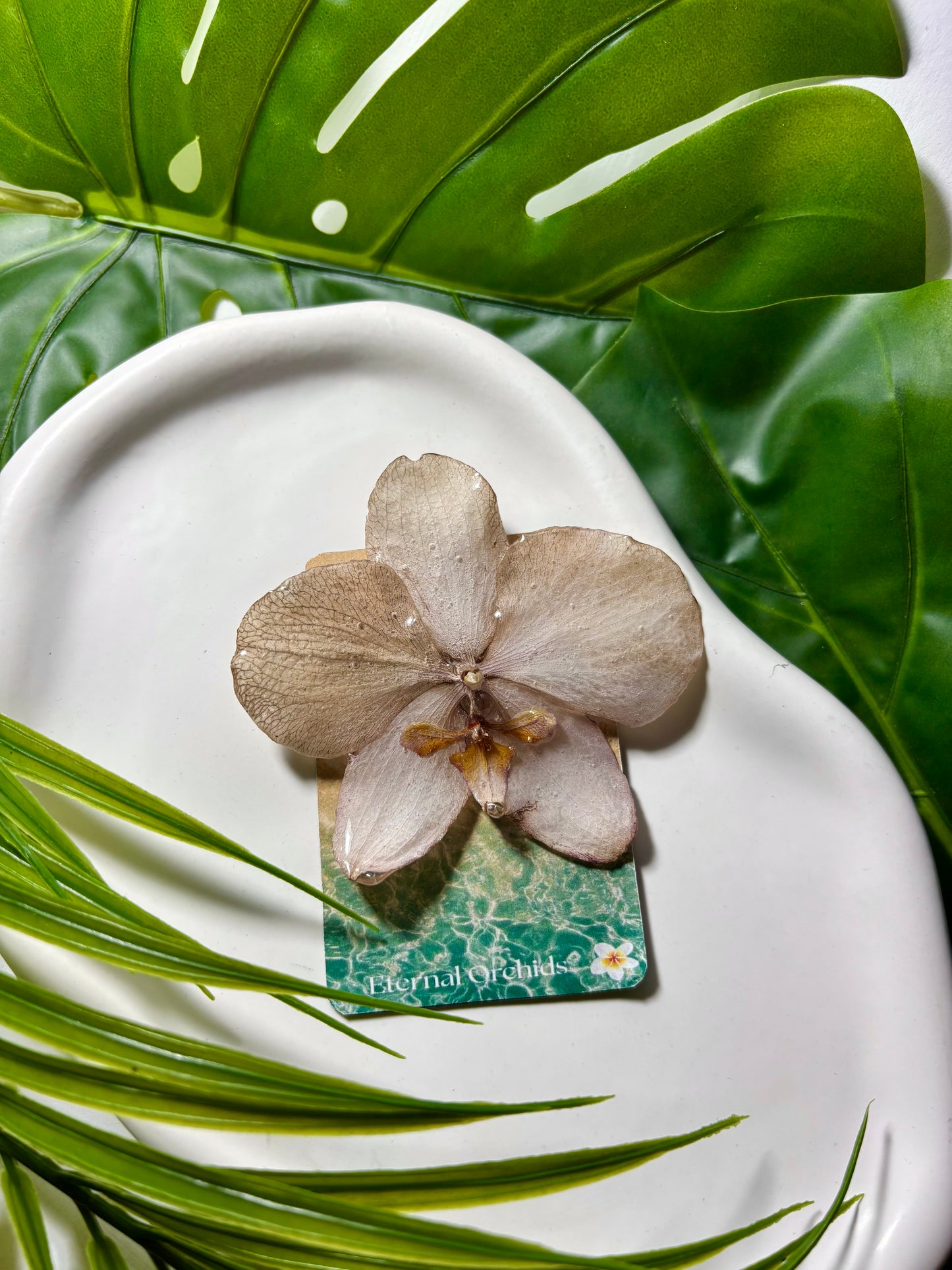 Pinza para el pelo de orquídea marrón