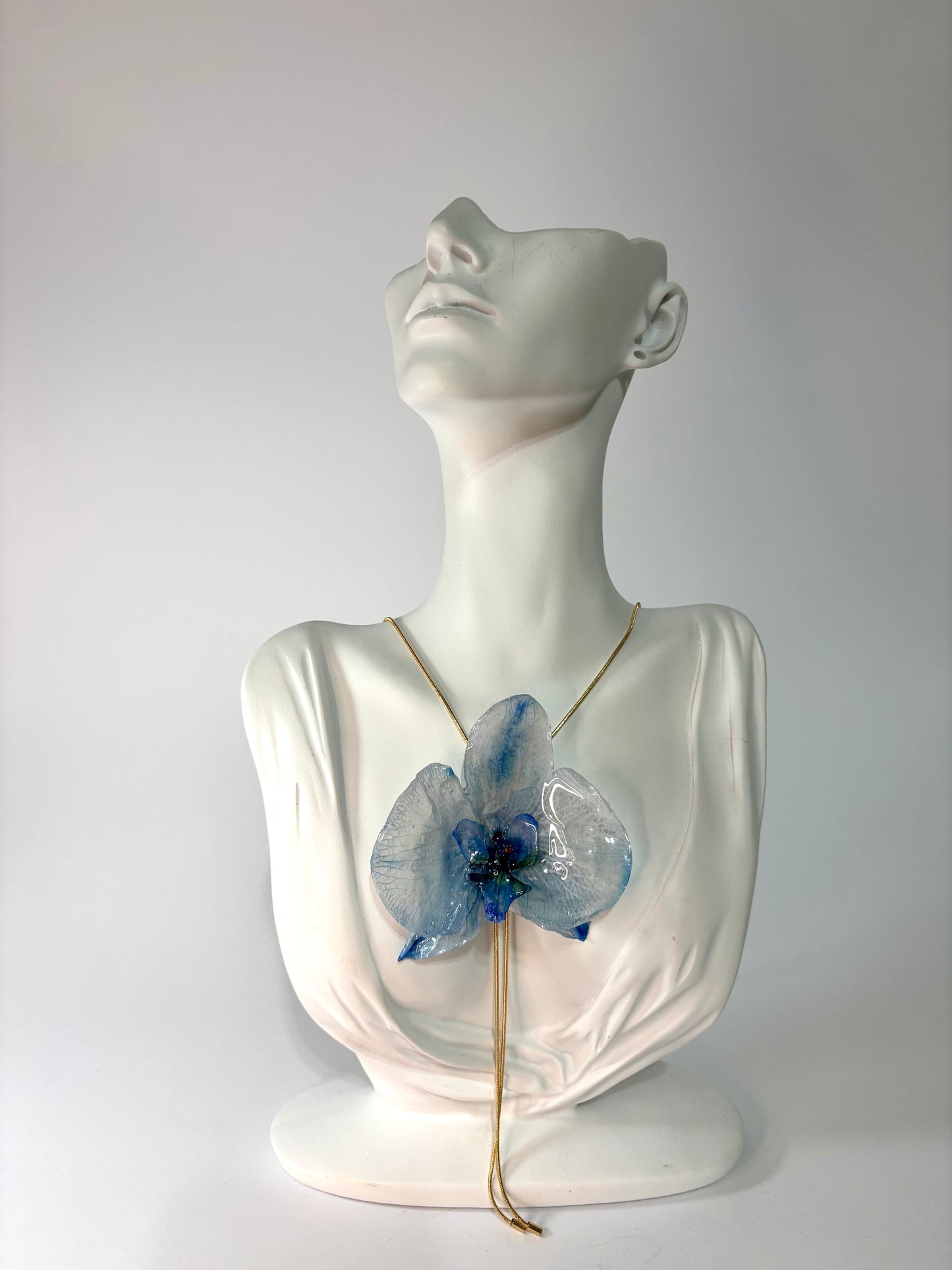 Ocean love orchid