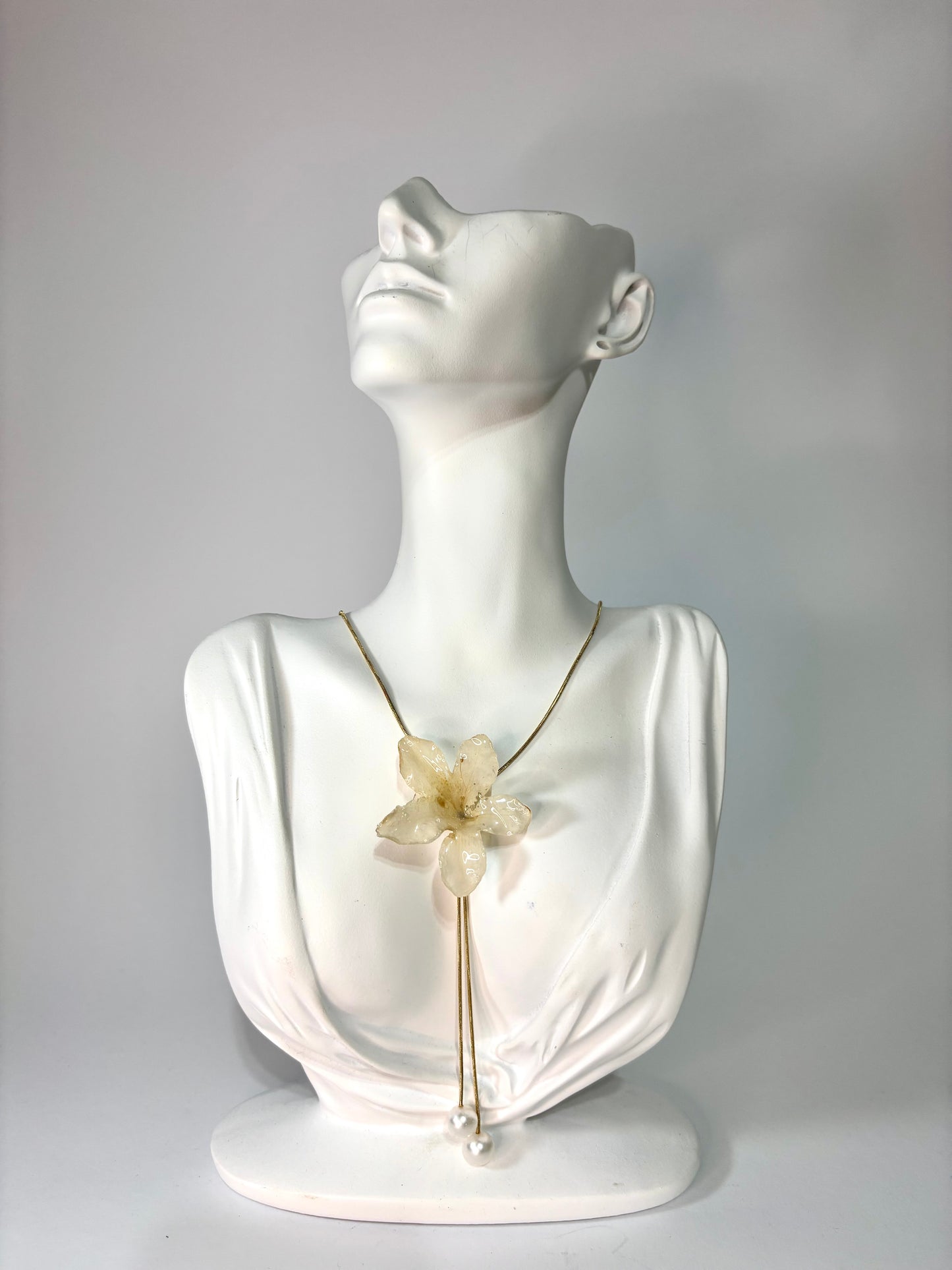 White hibiscus
