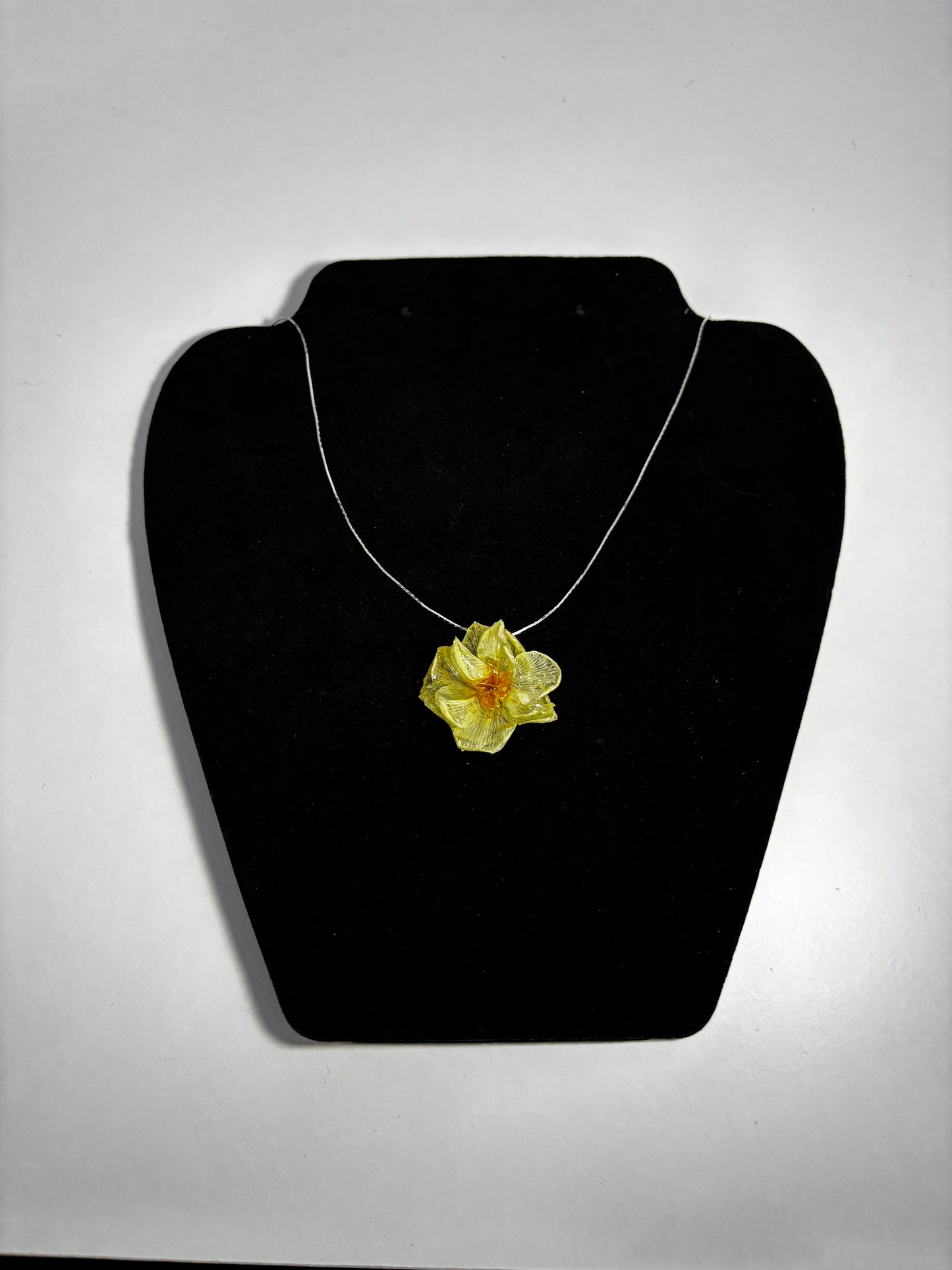 Mini narcisă 🌼