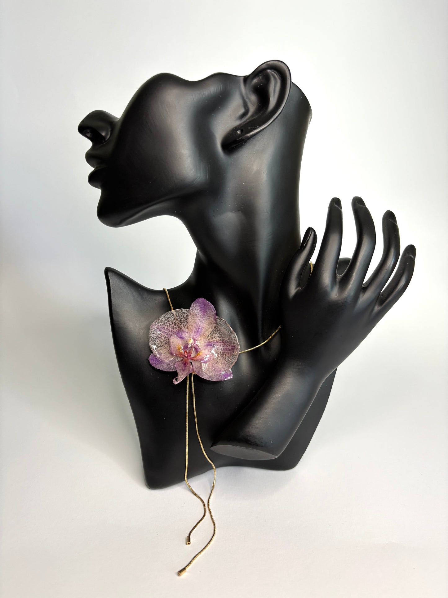 Kailea orchid