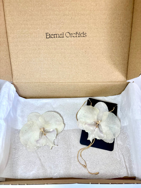 Set royal white orchid