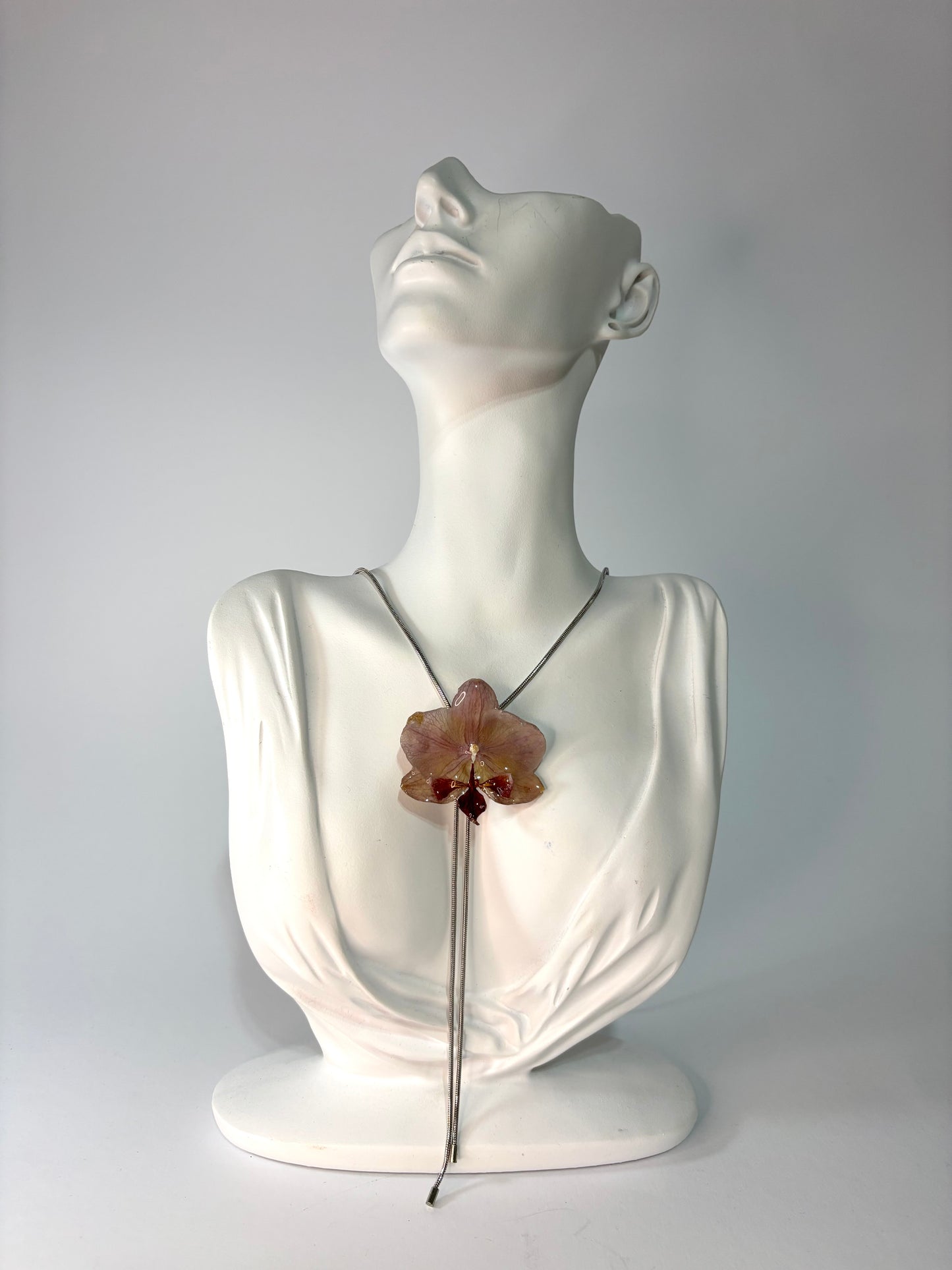 Mini burgundy orchid