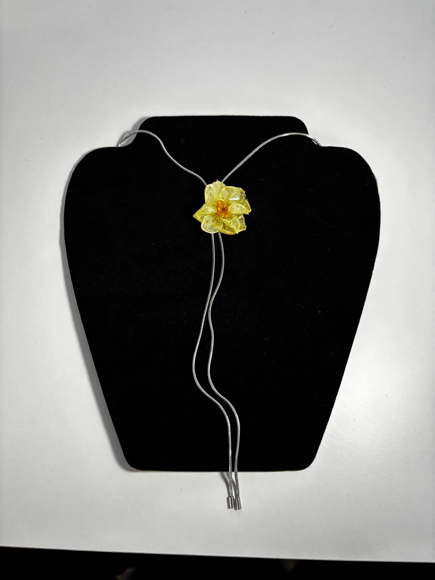 Mini narcisă 🌼