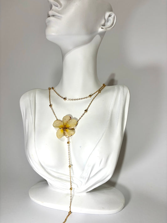 White Plumeria