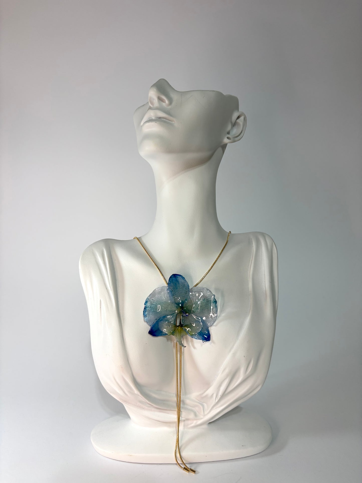 Summer love orchid