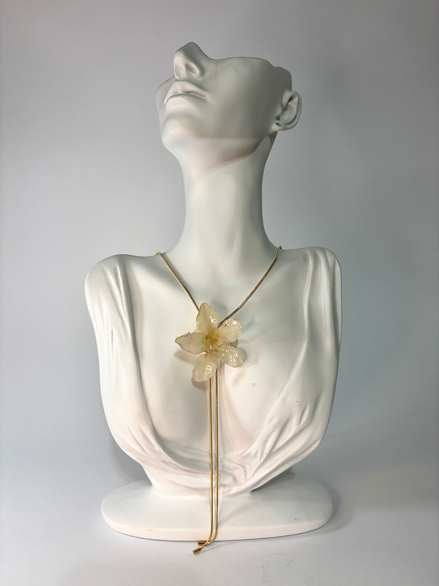 White hibiscus