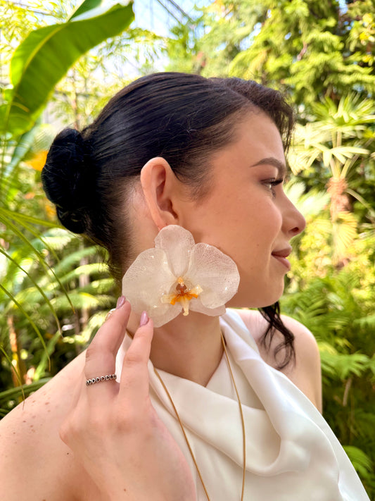 Coconut orchid earrings🤍
