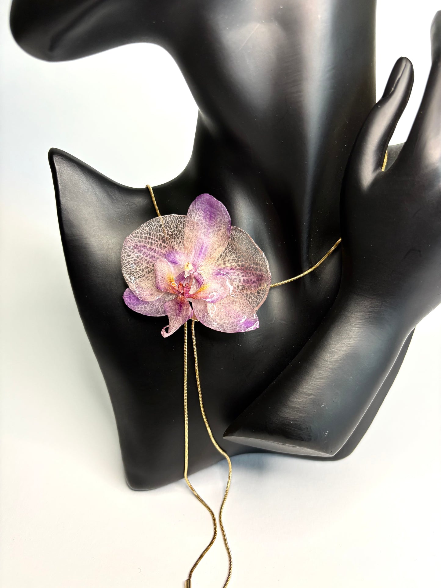 Kailea orchid