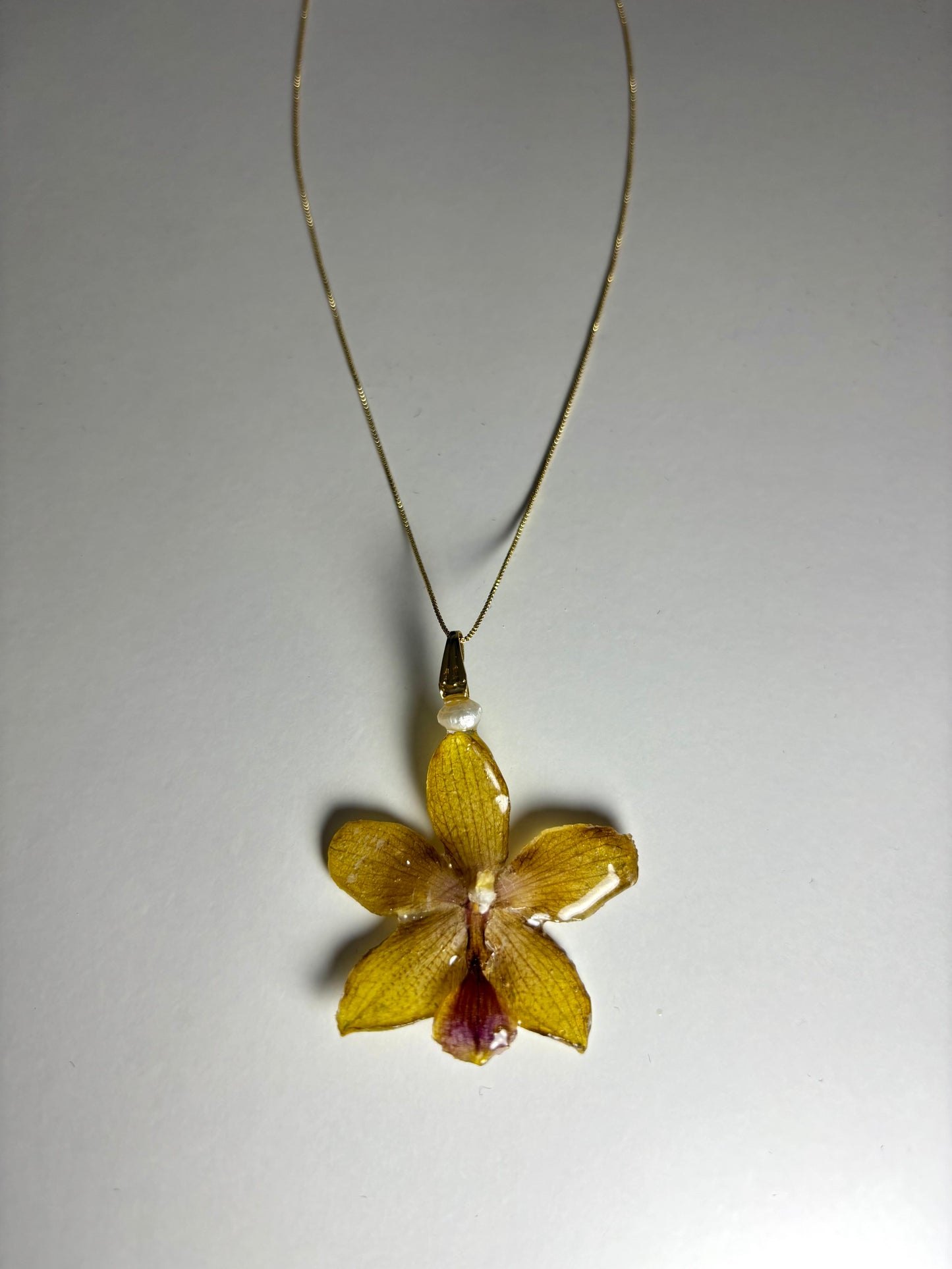 Mini tropical orchid