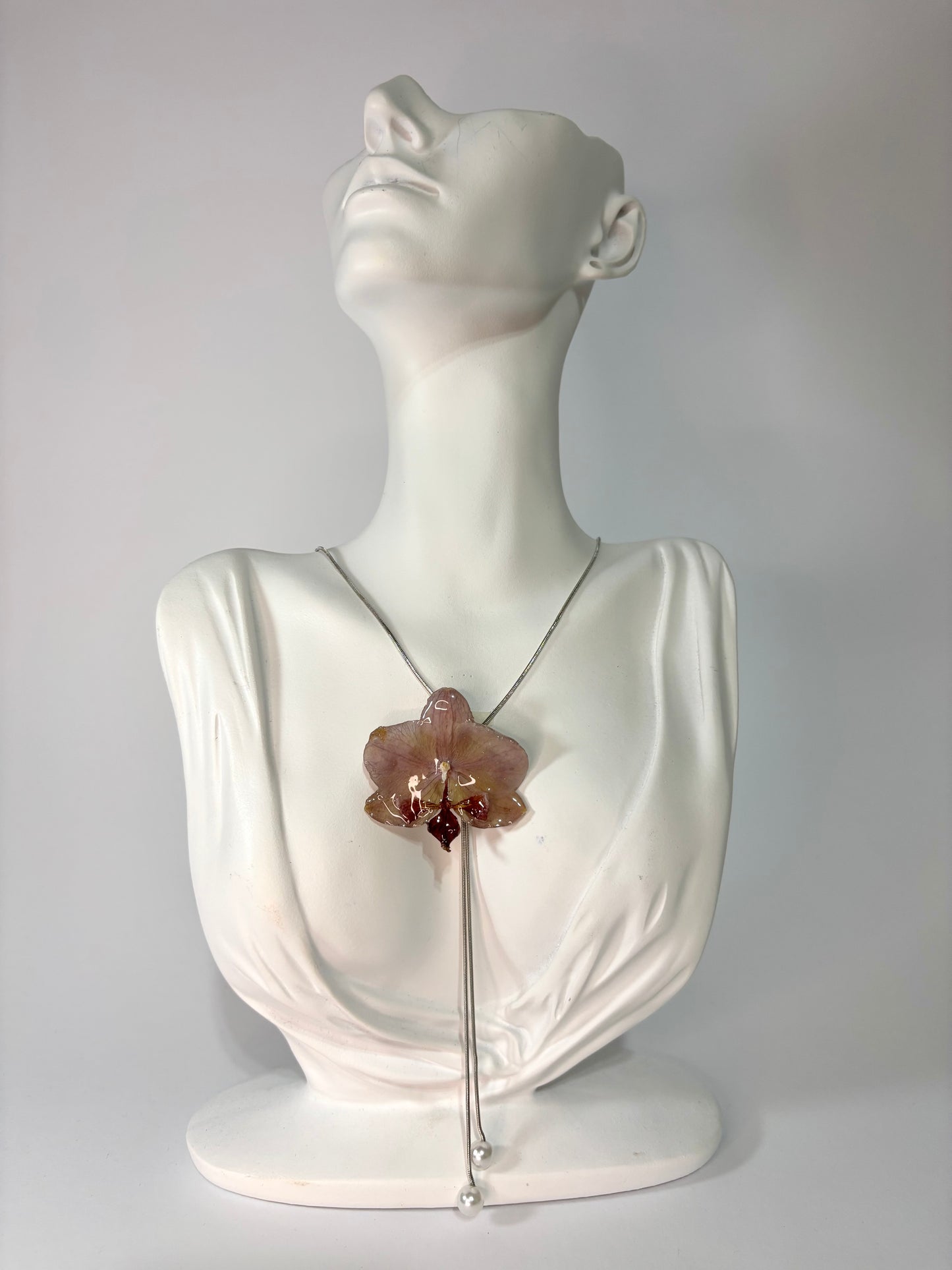 Mini burgundy orchid