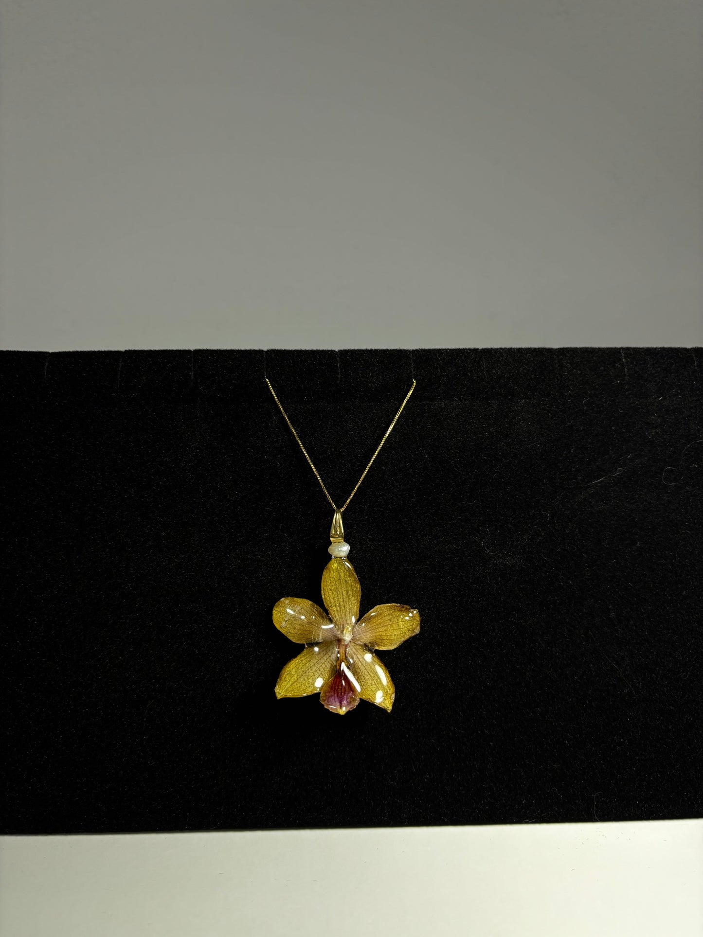 Mini tropical orchid