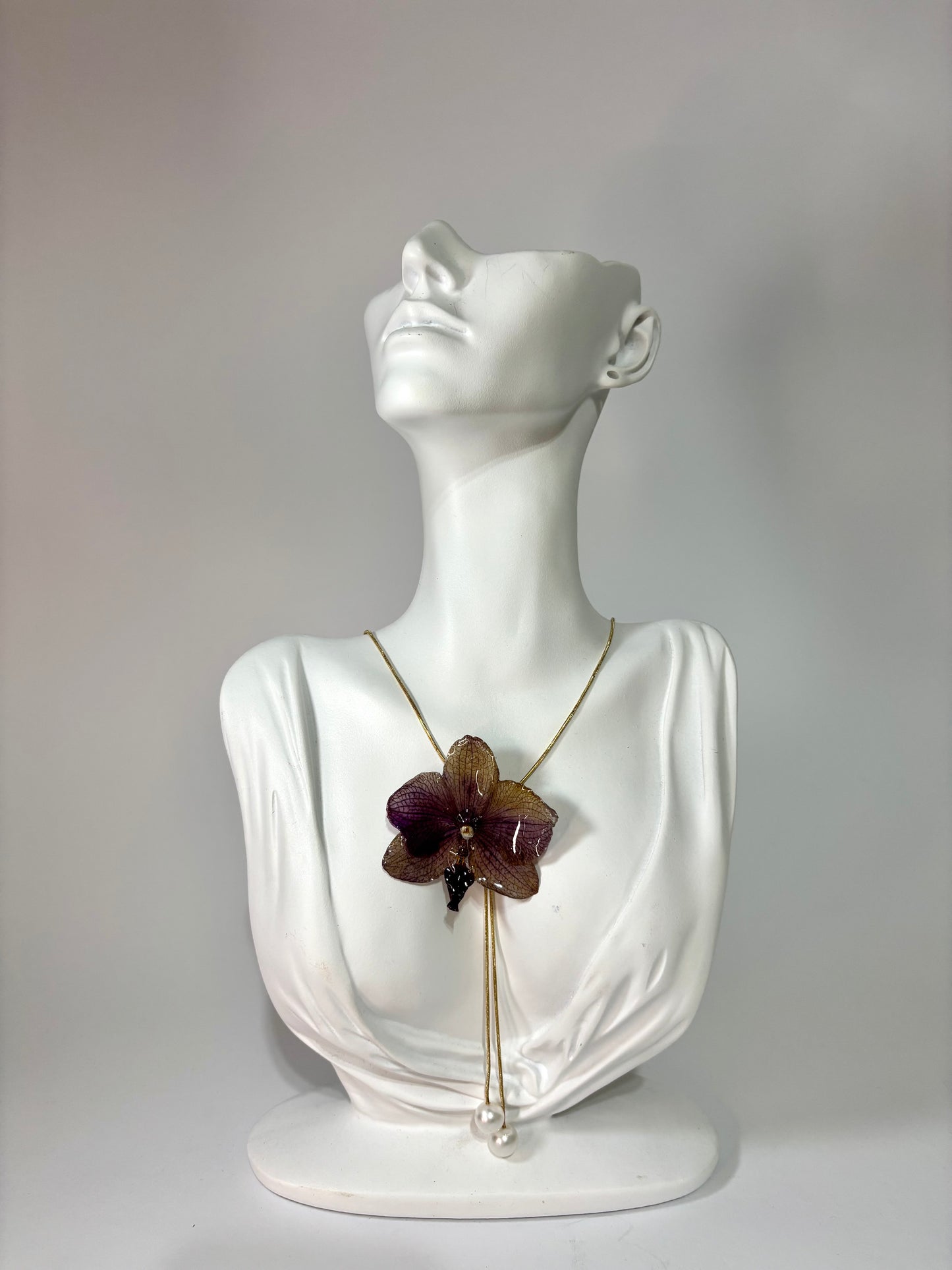 Mini Mocha orchid