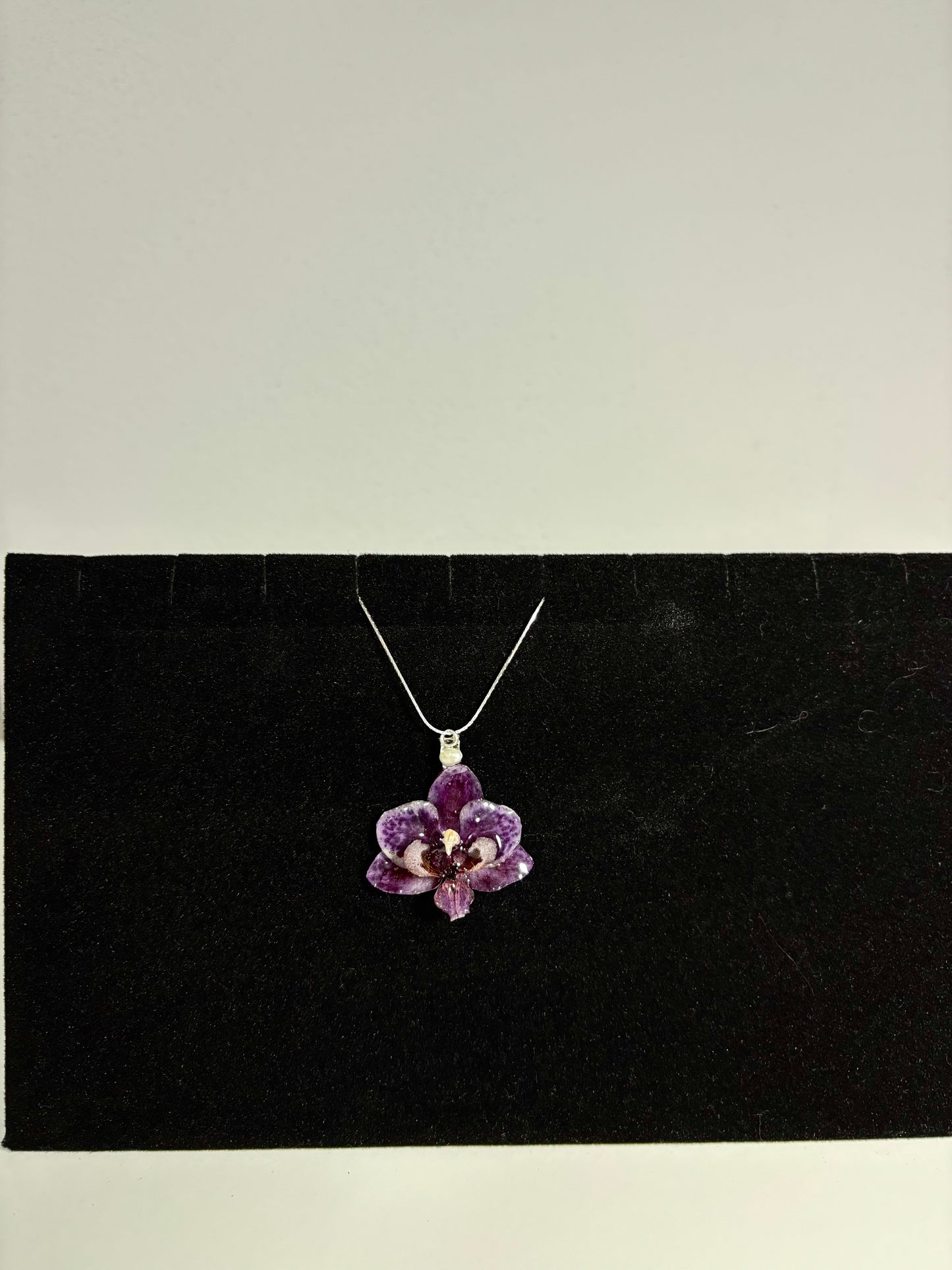 Lila orchid mini