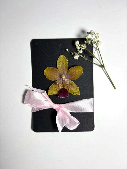 Mărțișor tropical orchid