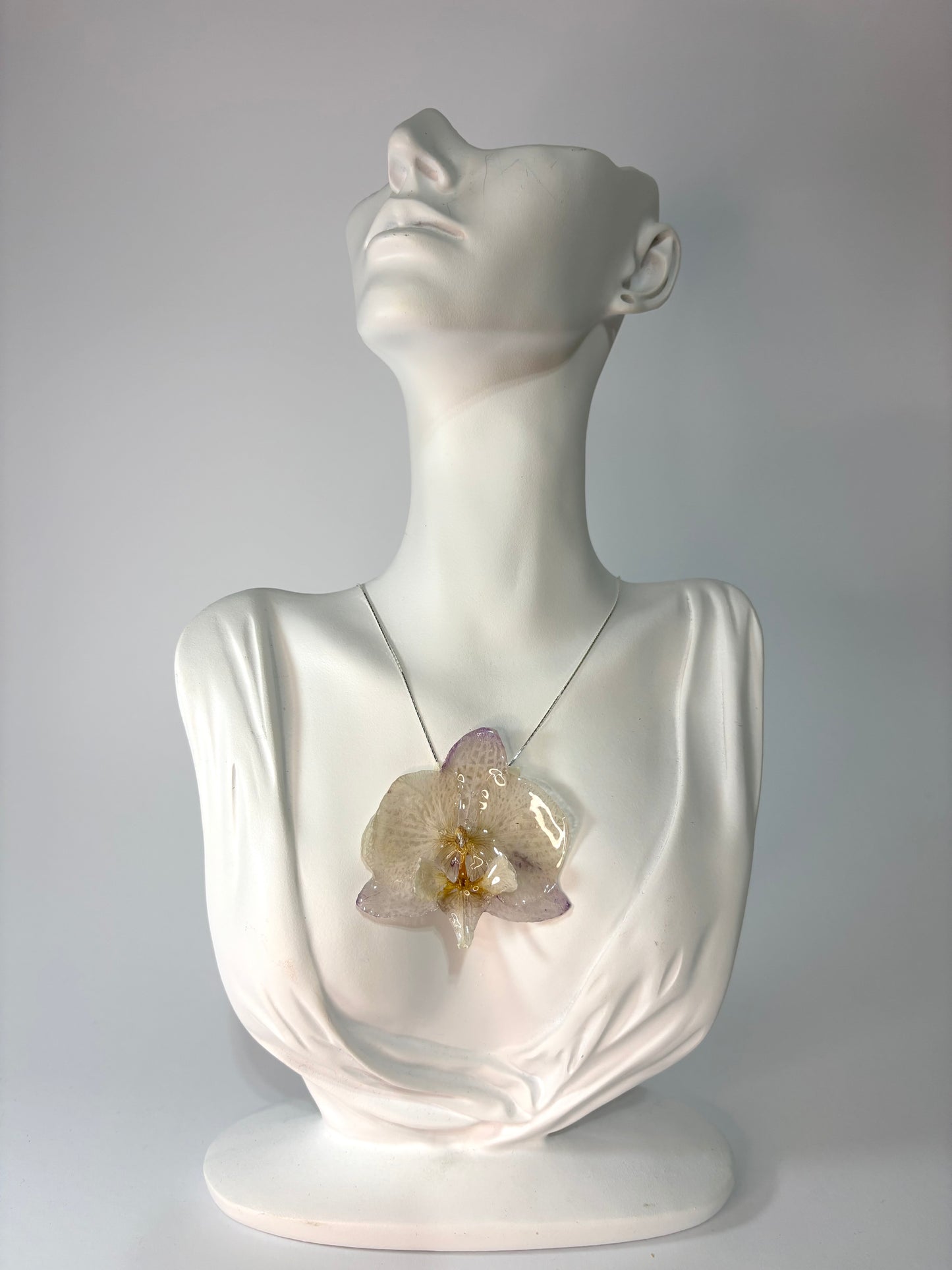 Kala orchid