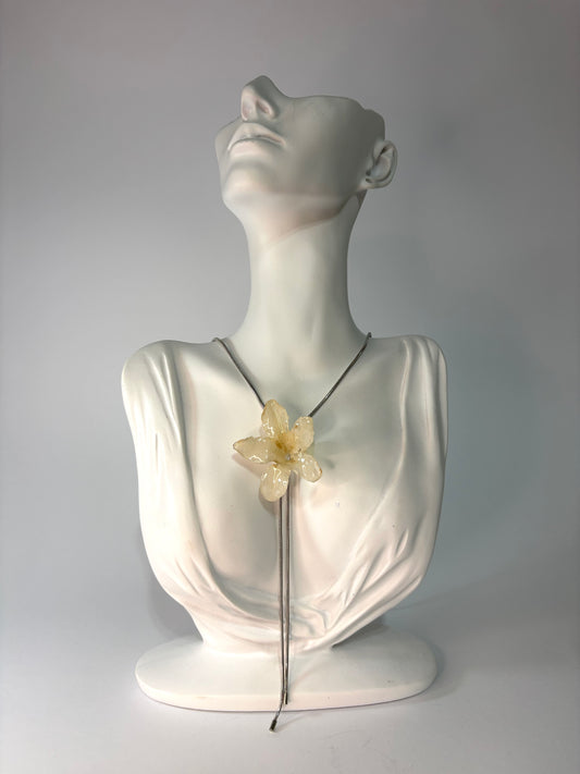 White hibiscus