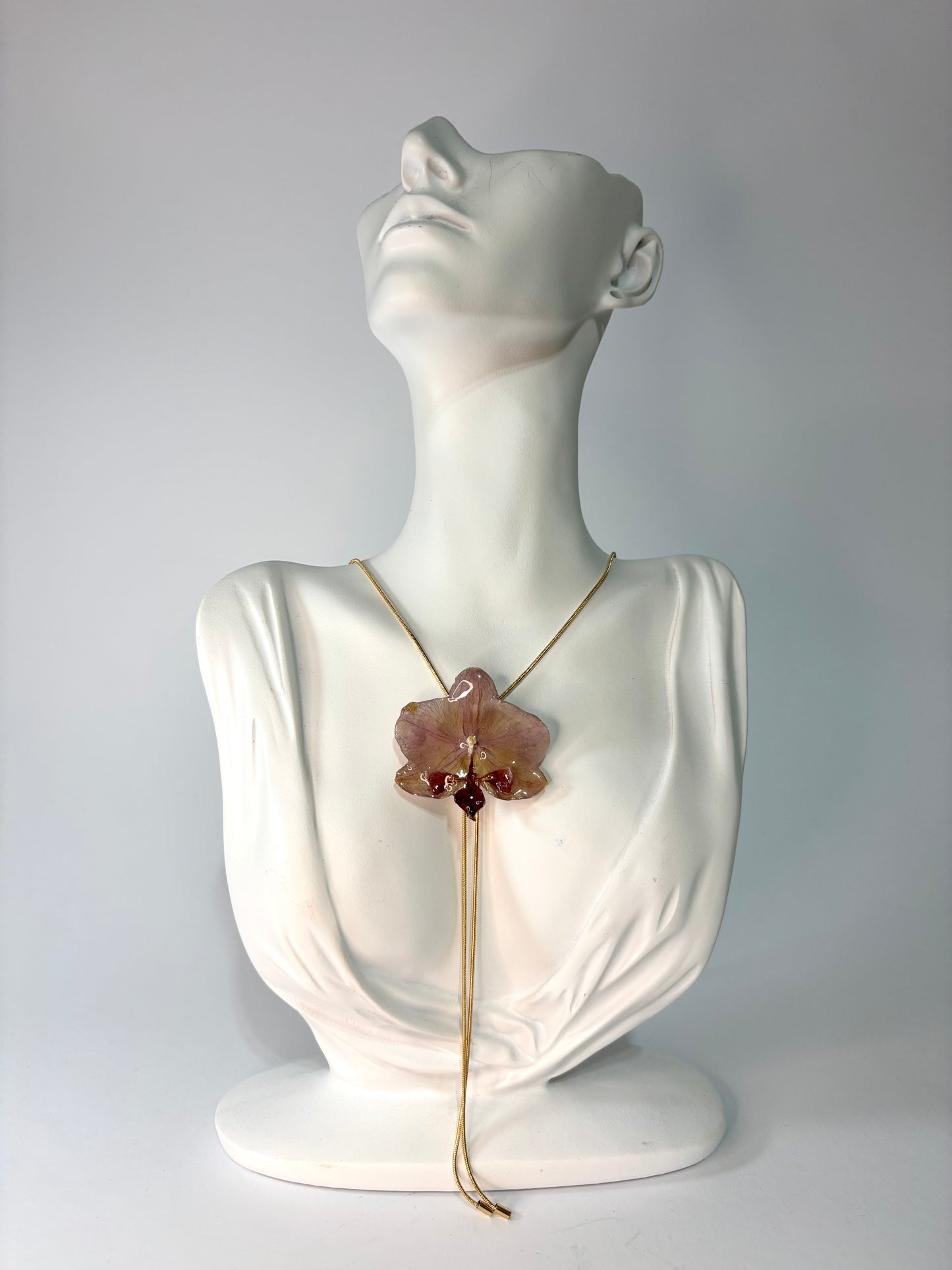 Mini burgundy orchid