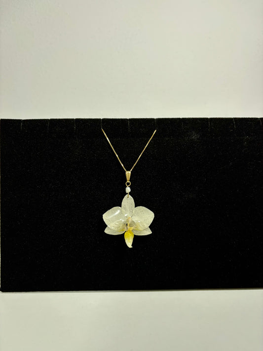 Mini white pearl orchid