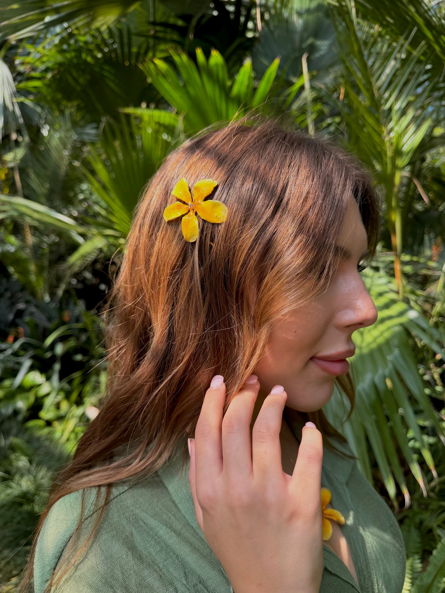 Yellow plumeria clips