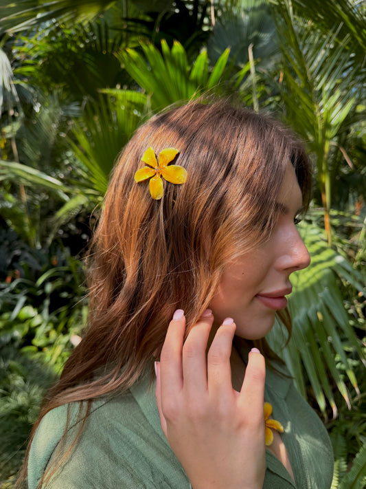 Yellow plumeria clips