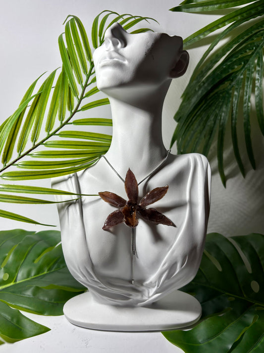 Tropical orchid