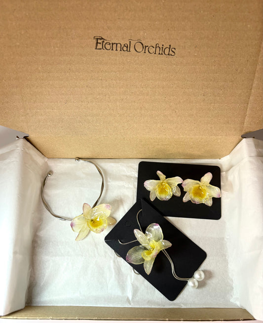 Set tropical orchid