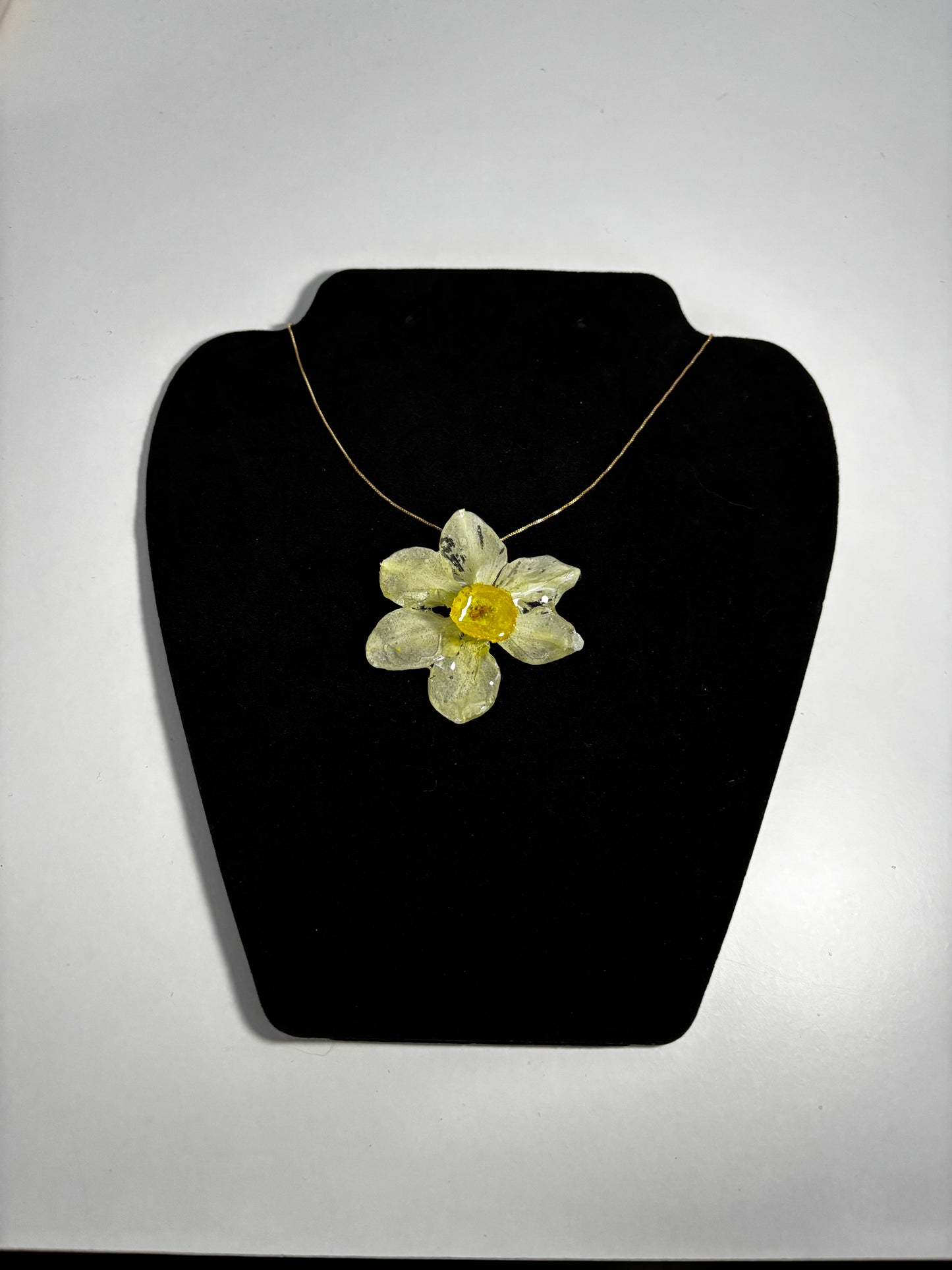 Narcisă albă 🌼