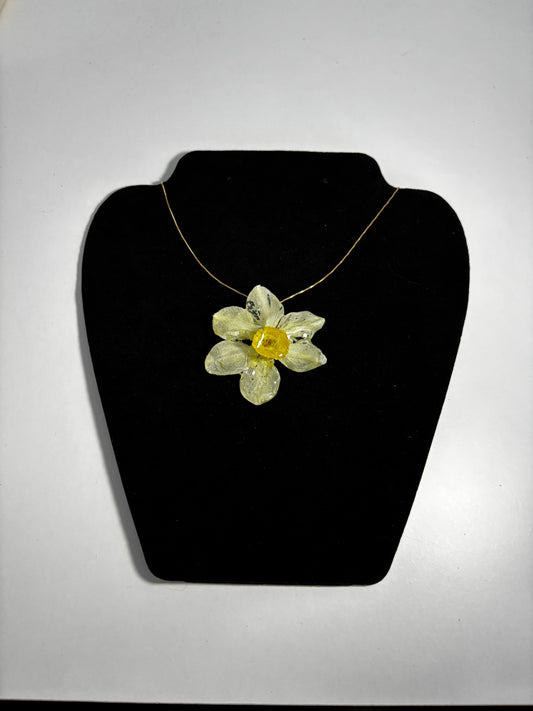 Narcisă albă 🌼